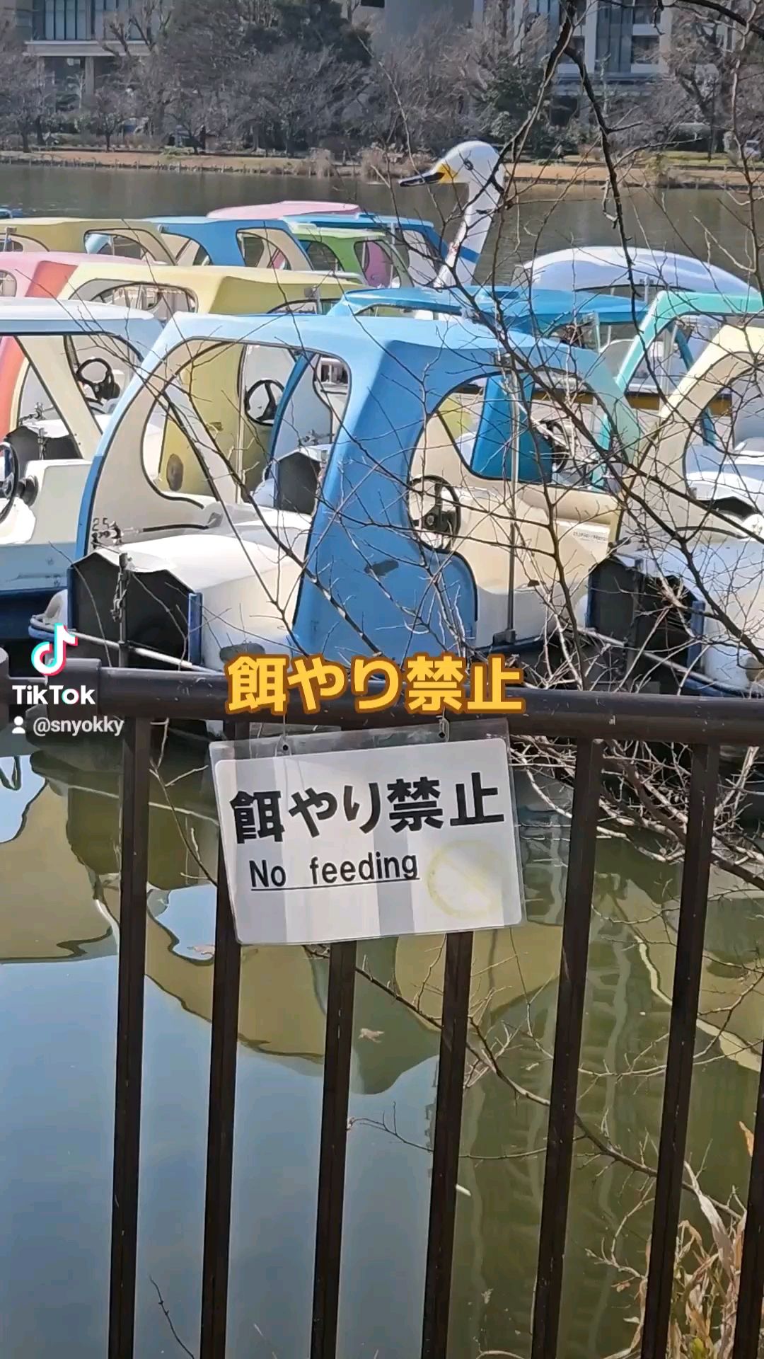 投稿動画サムネイル