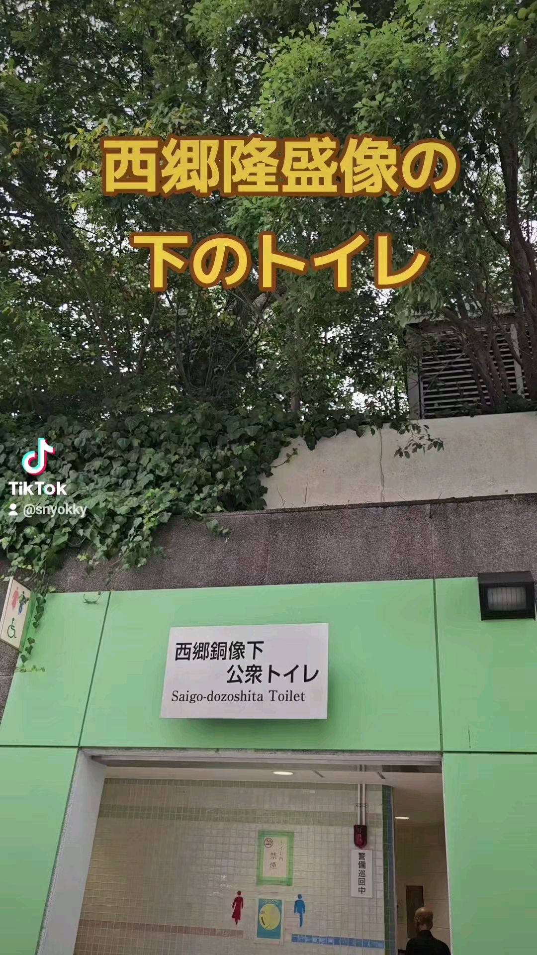 投稿動画サムネイル