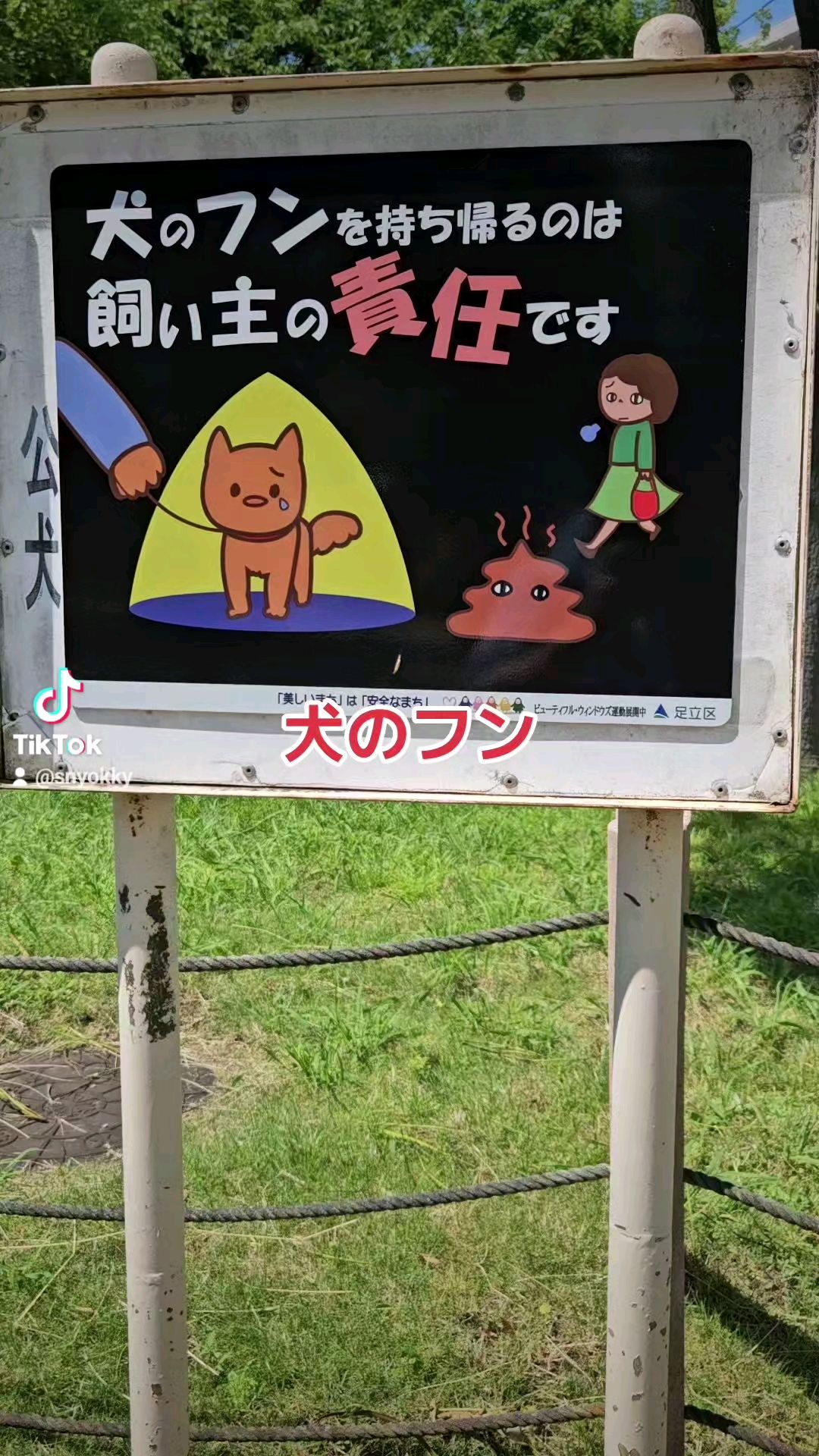 投稿動画サムネイル