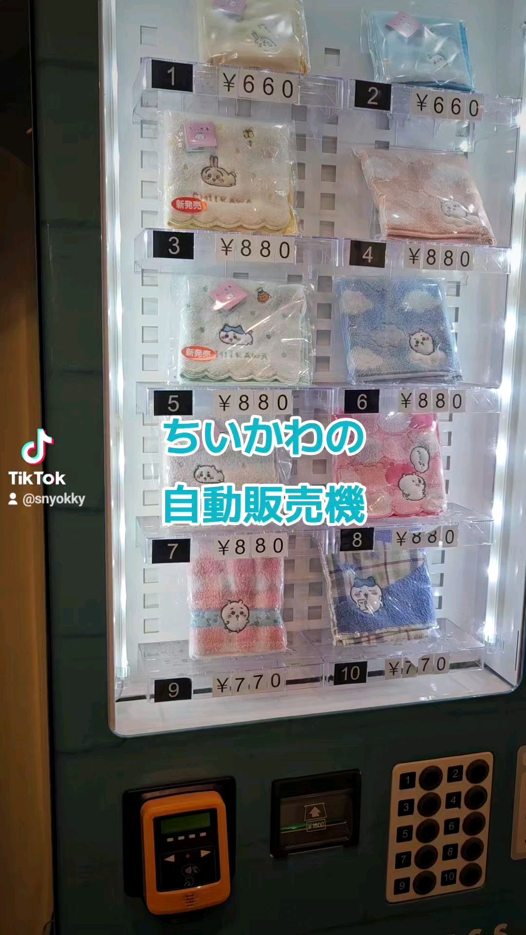 投稿動画サムネイル