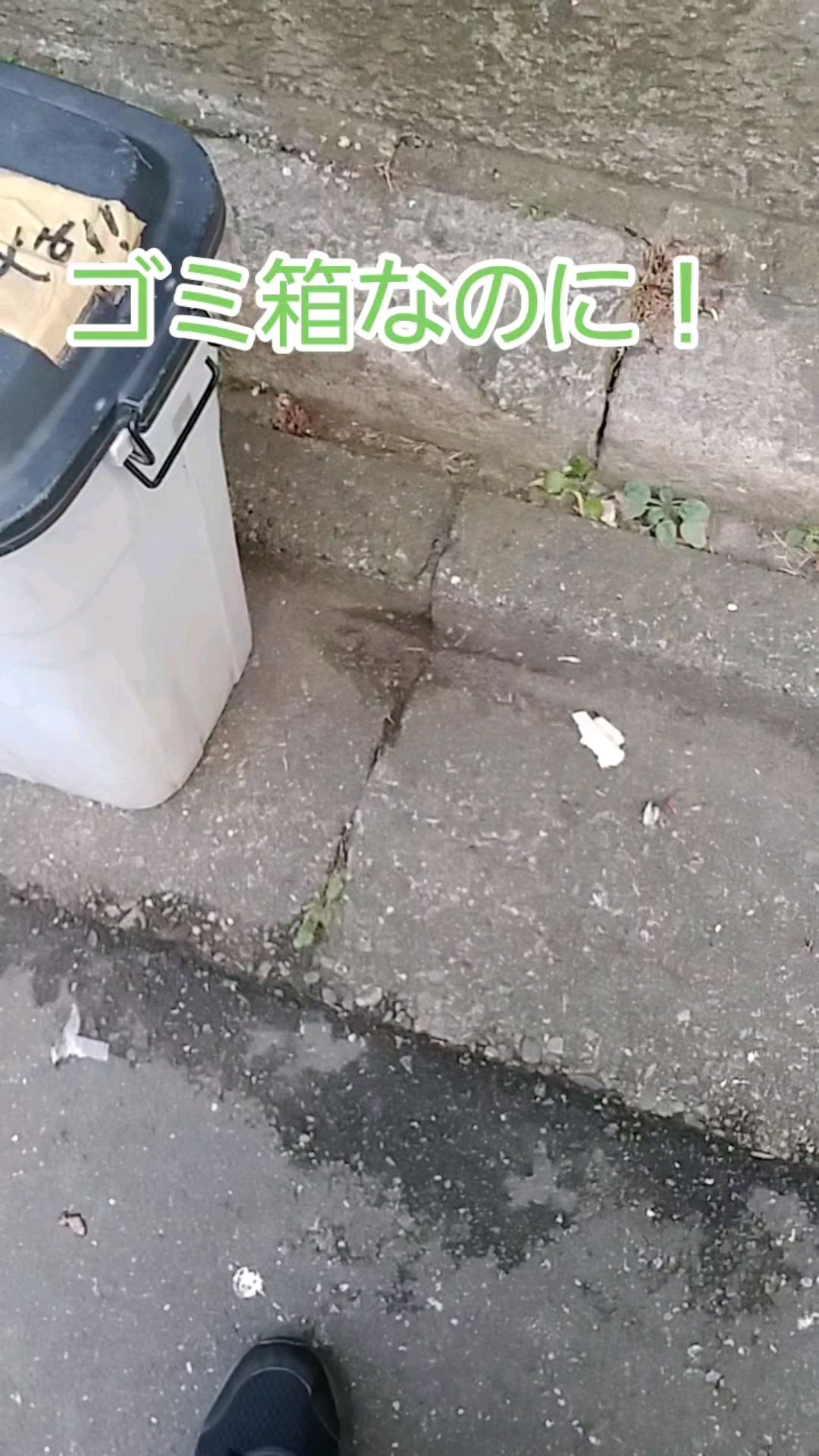 投稿動画サムネイル