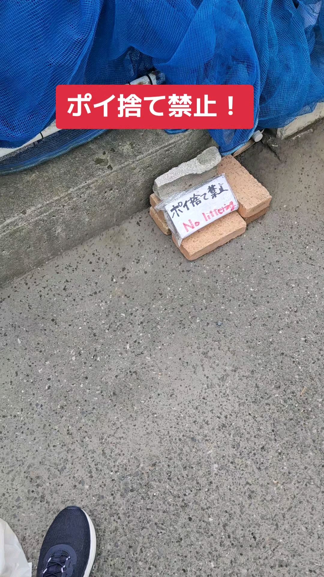 投稿動画サムネイル