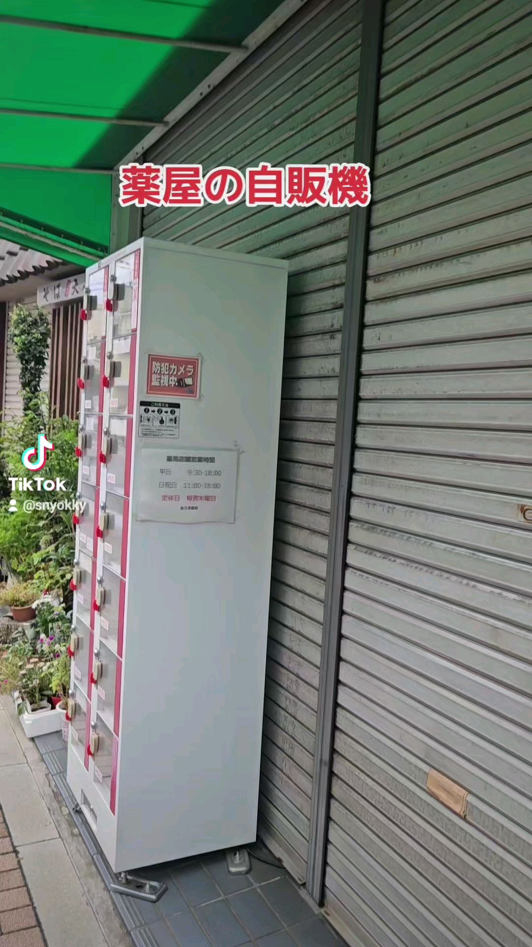 投稿動画サムネイル