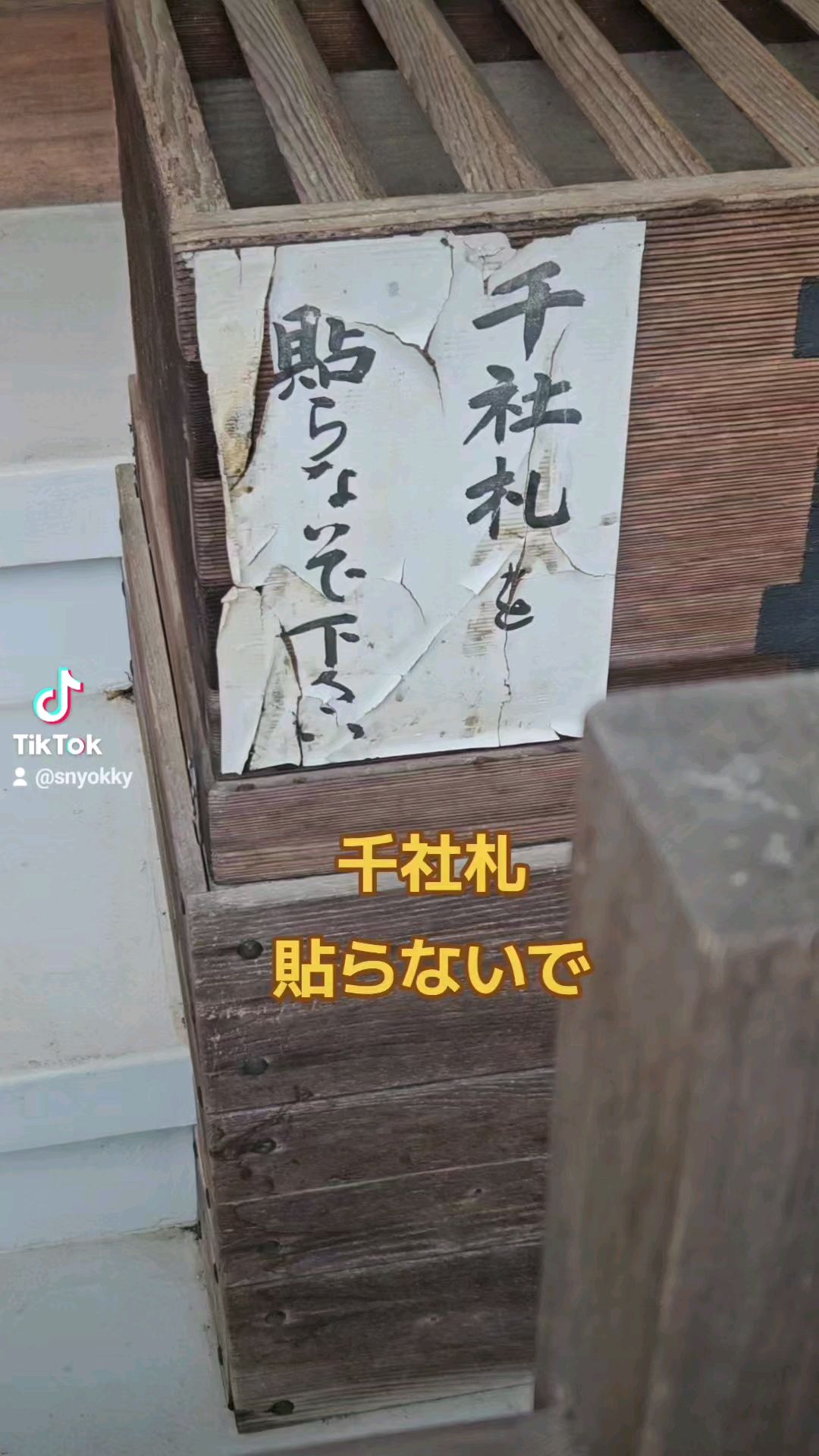 投稿動画サムネイル