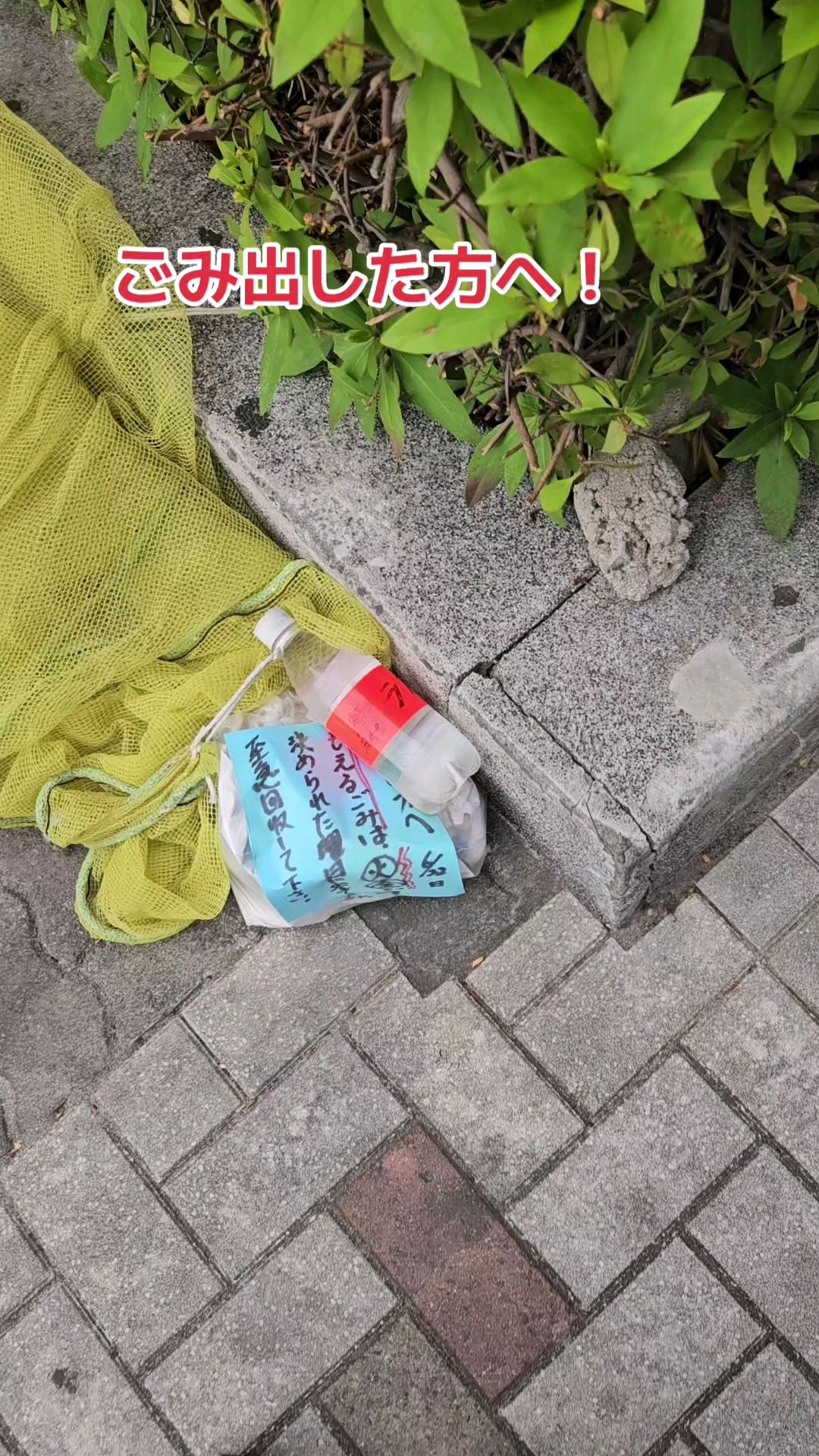 投稿動画サムネイル