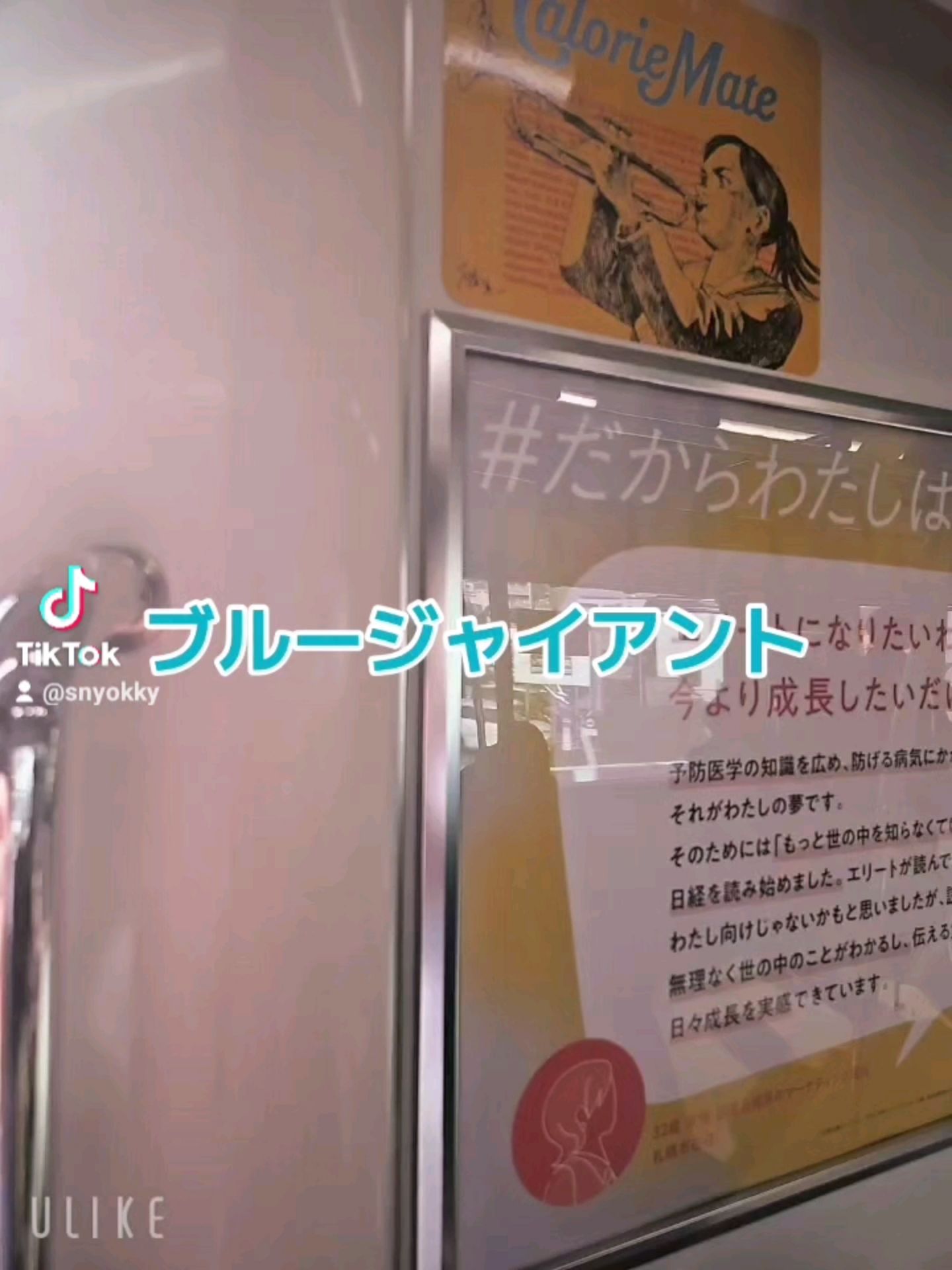 投稿動画サムネイル