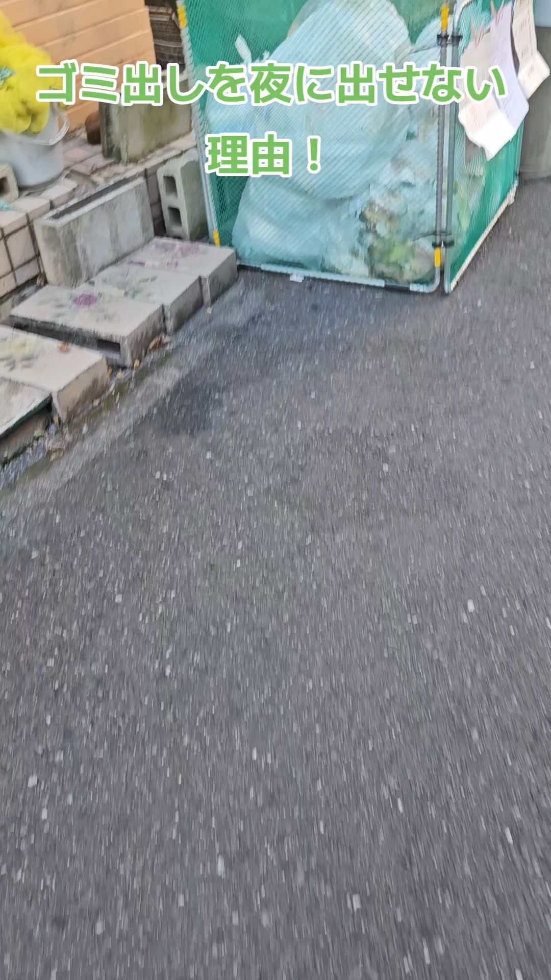 投稿動画サムネイル