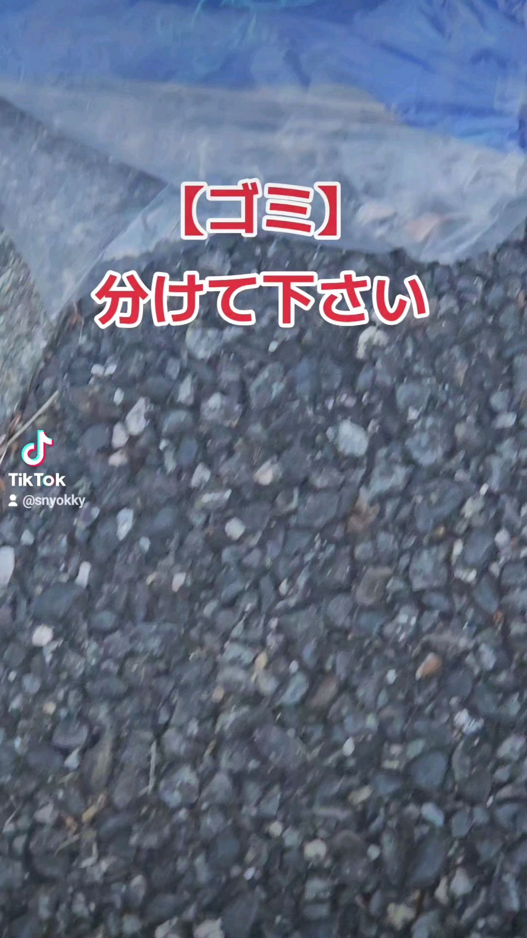 投稿動画サムネイル