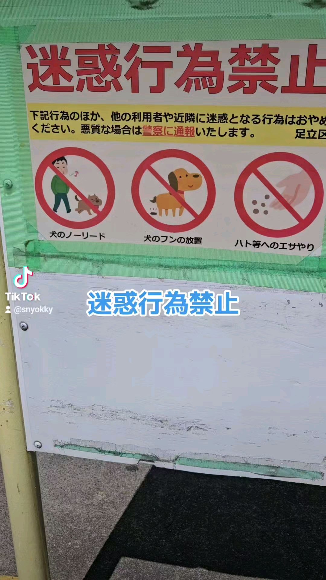 投稿動画サムネイル