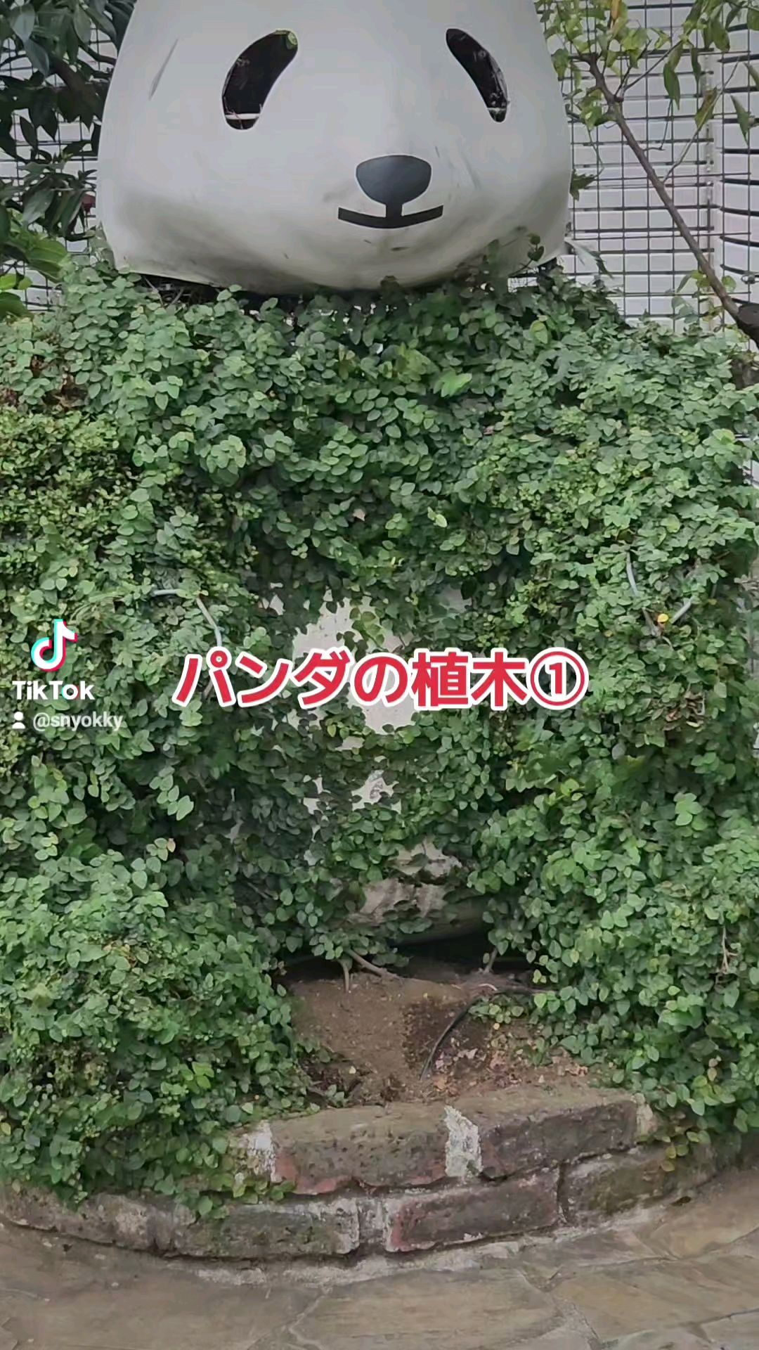 投稿動画サムネイル