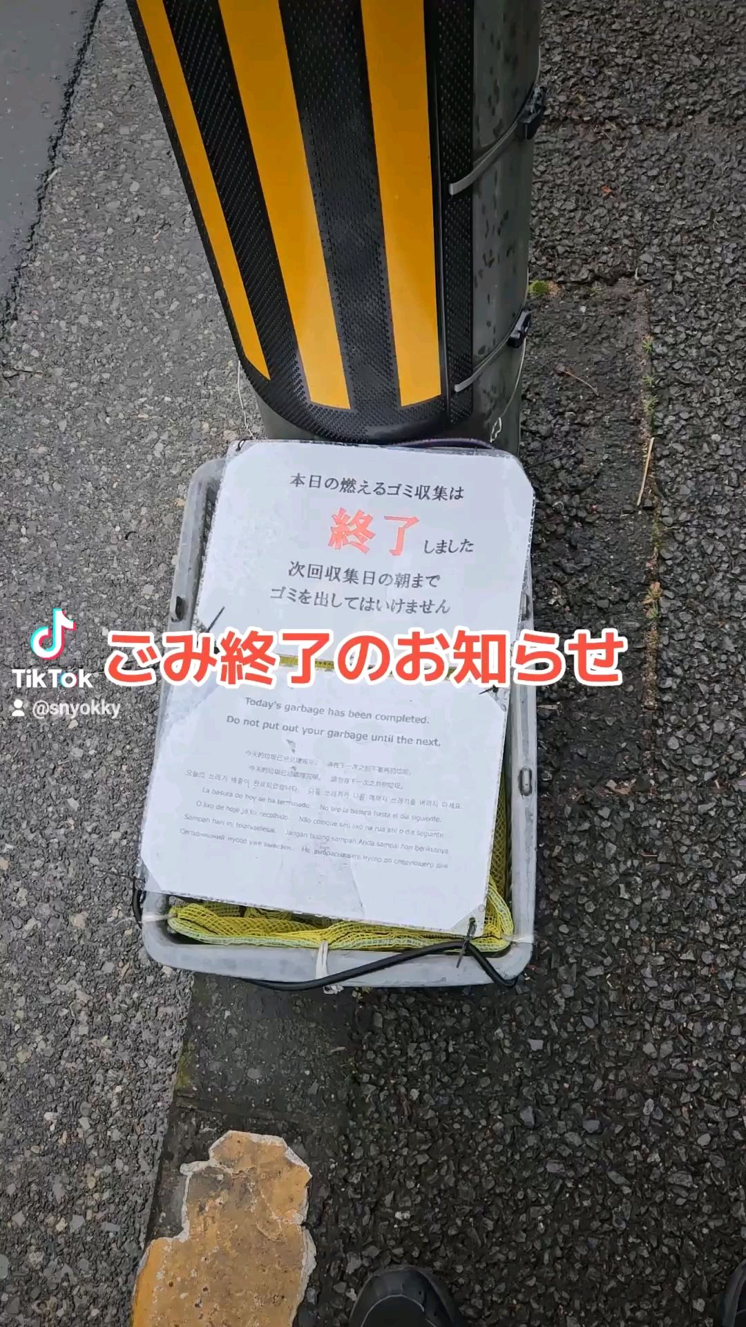 投稿動画サムネイル