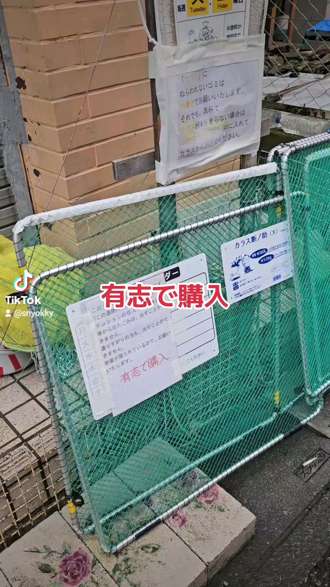 投稿動画サムネイル