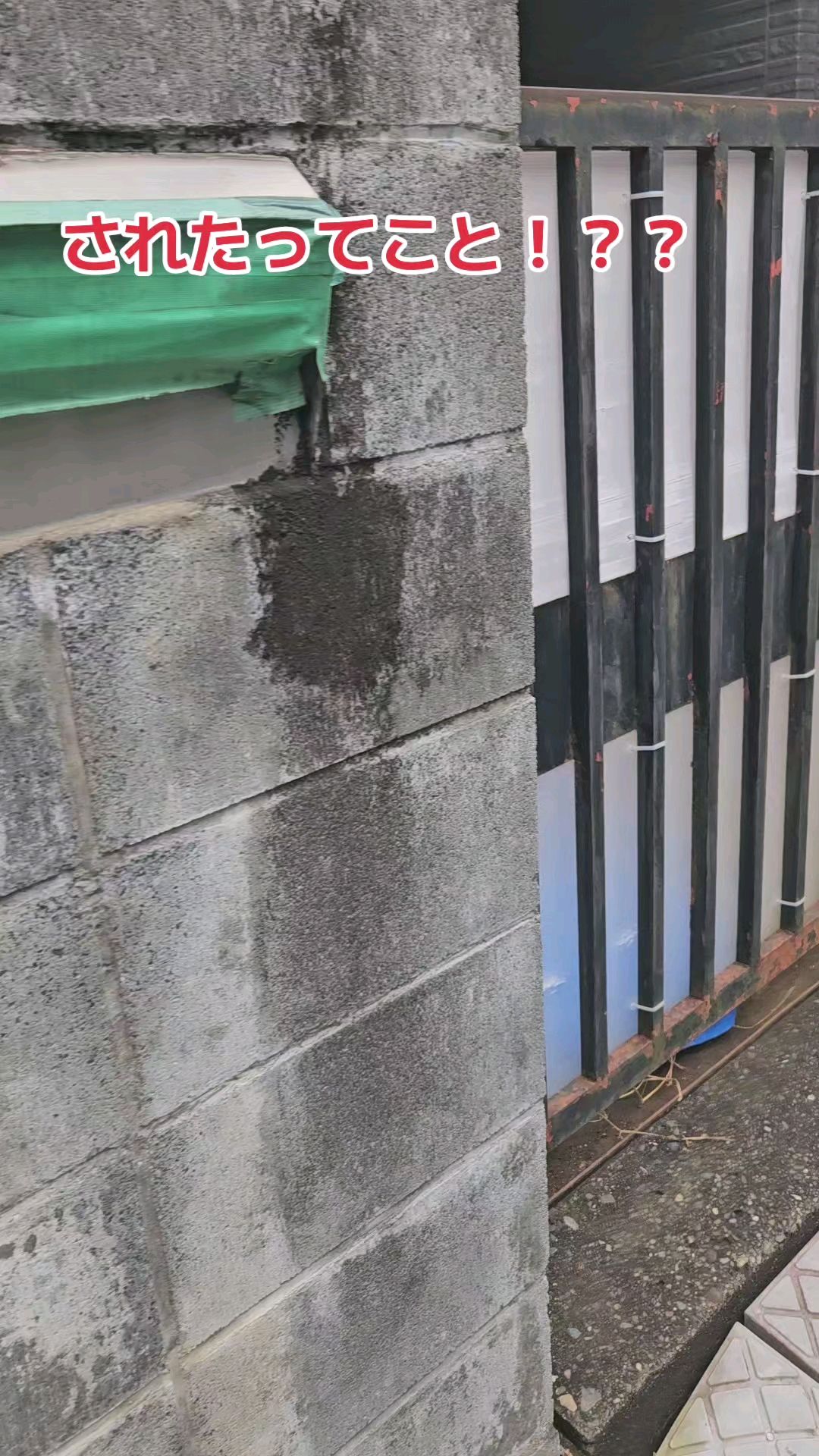 投稿動画サムネイル