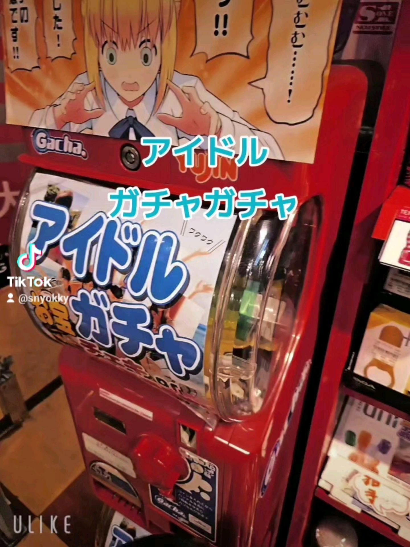 投稿動画サムネイル