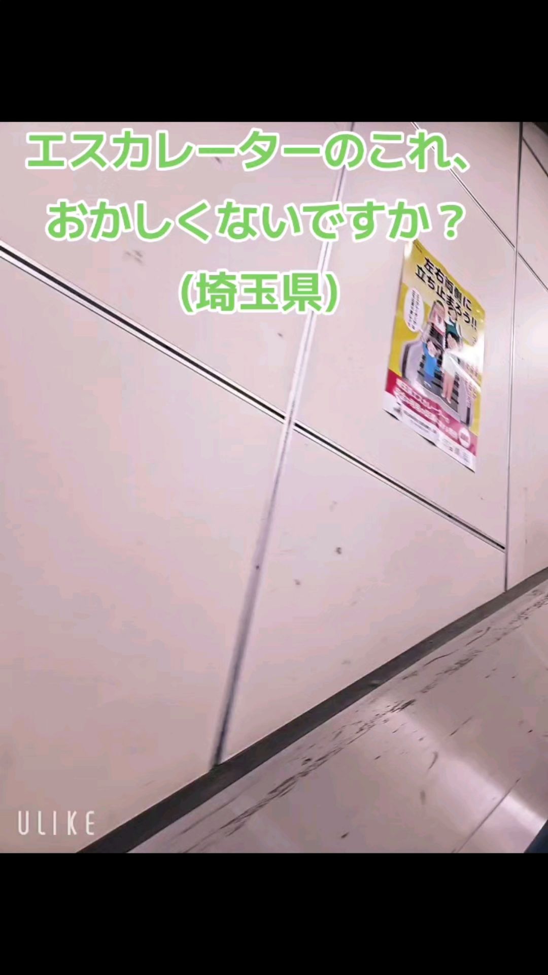 投稿動画サムネイル