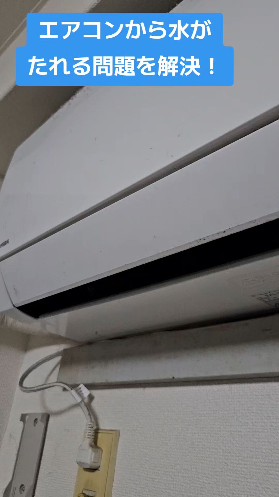 投稿動画サムネイル