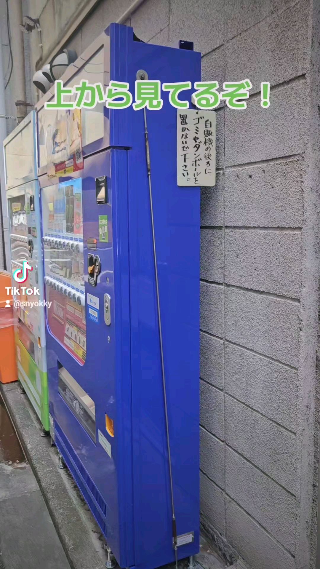 投稿動画サムネイル