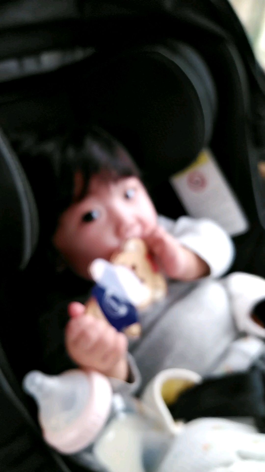 投稿動画サムネイル