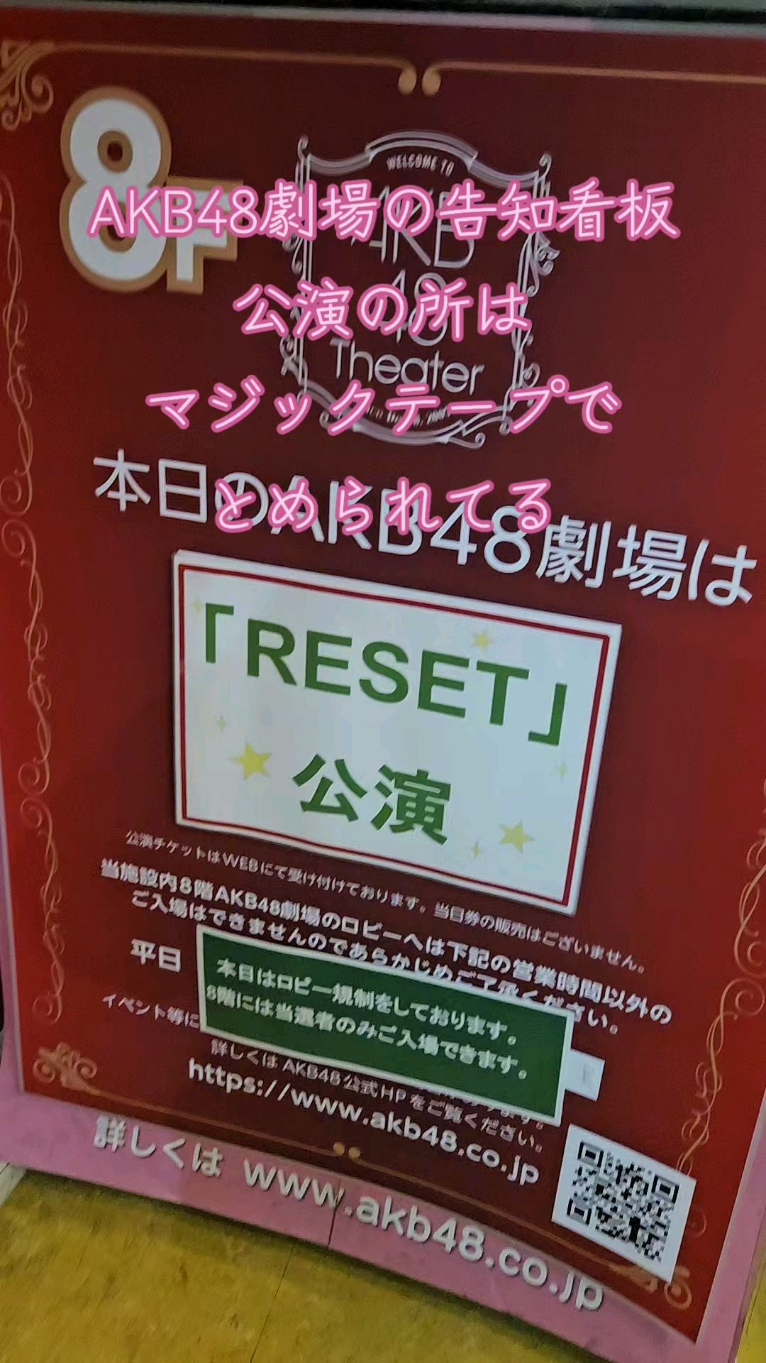 投稿動画サムネイル