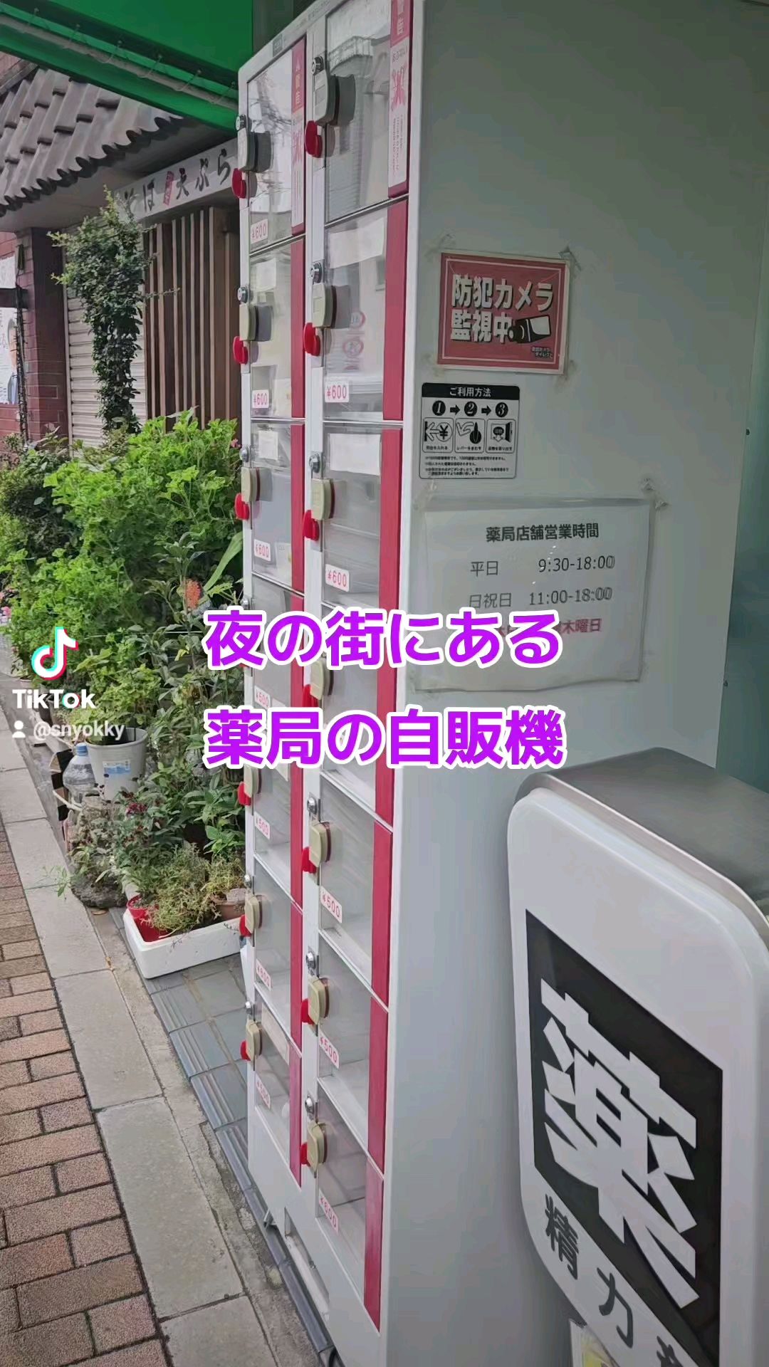 投稿動画サムネイル