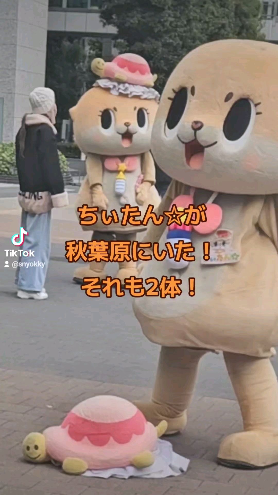 投稿動画サムネイル