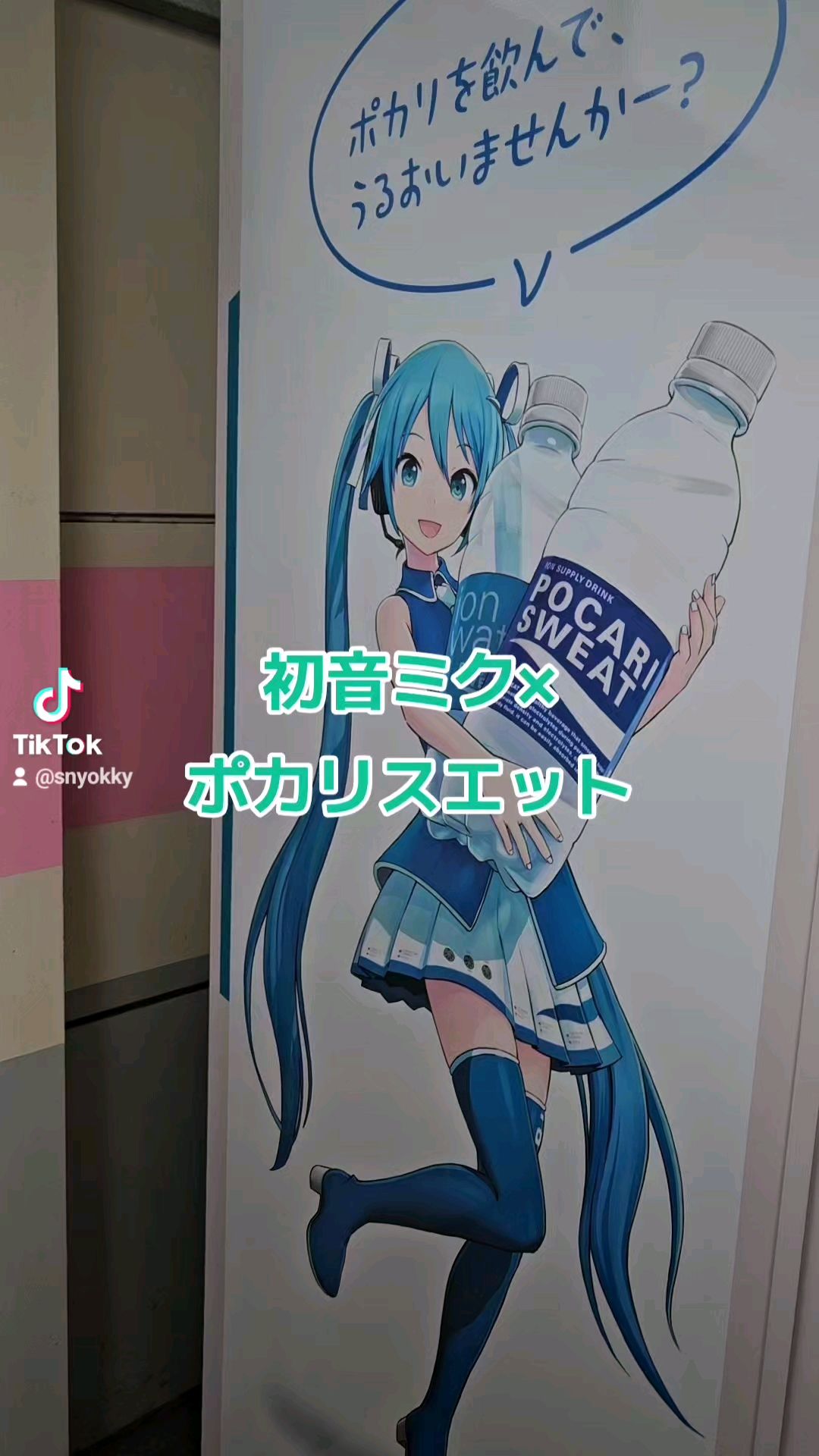 投稿動画サムネイル