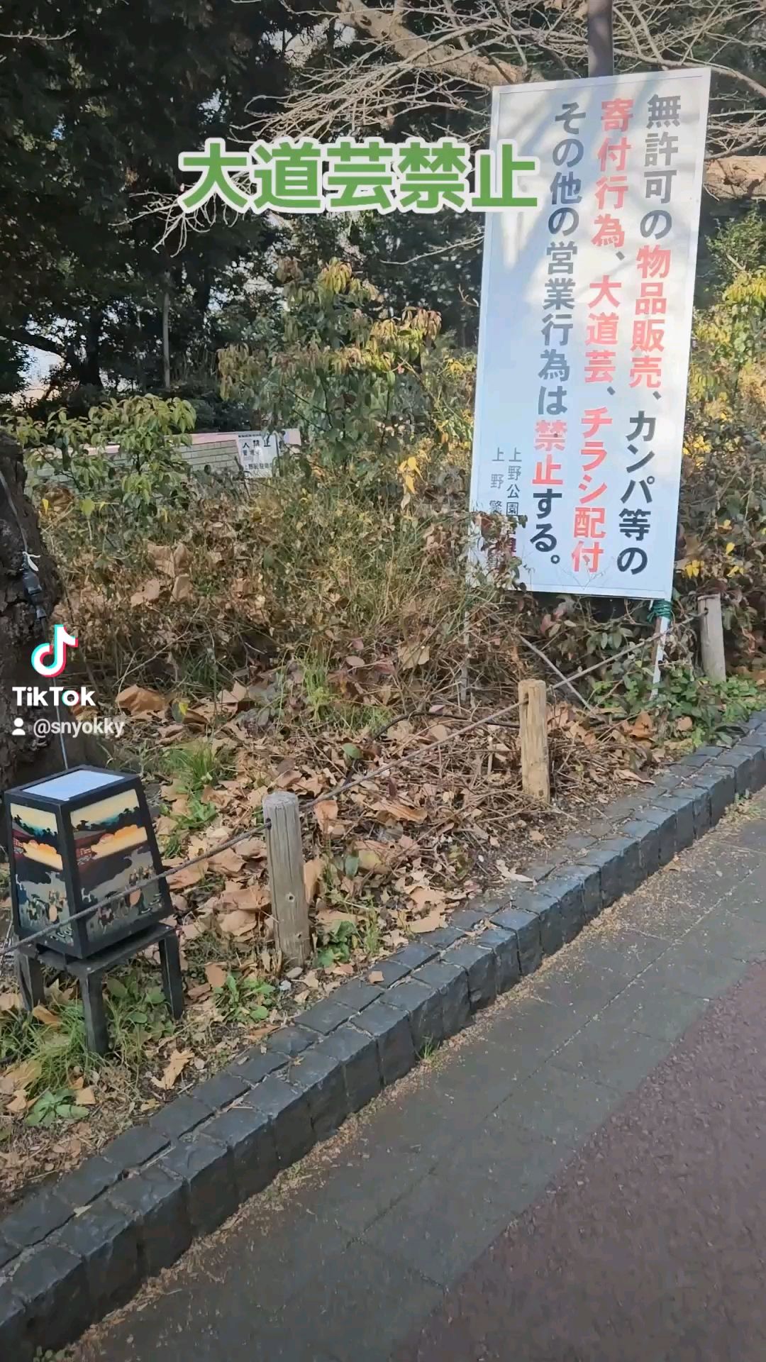 投稿動画サムネイル