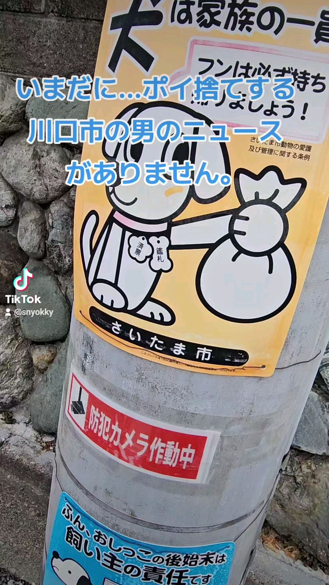 投稿動画サムネイル