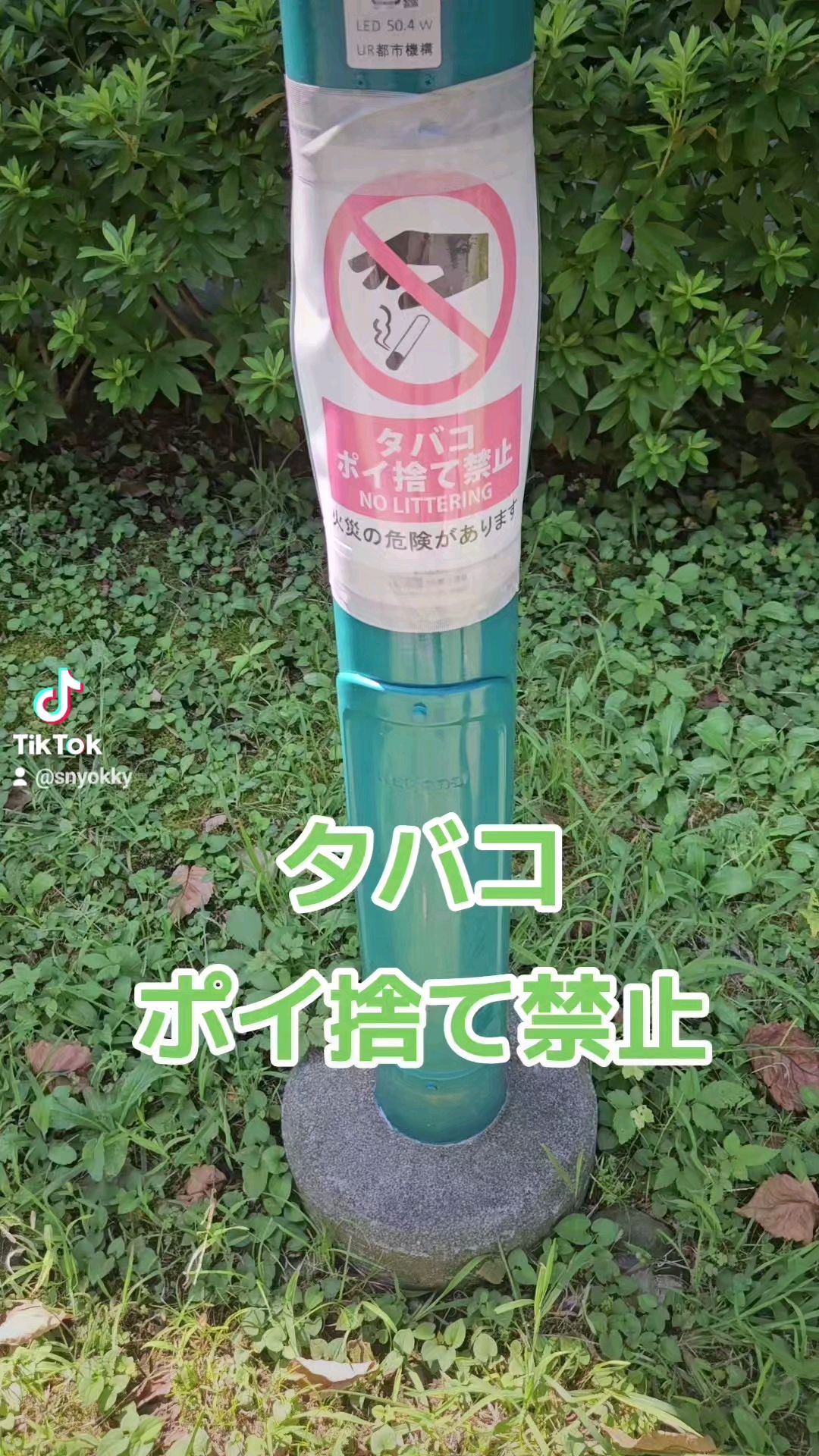 投稿動画サムネイル