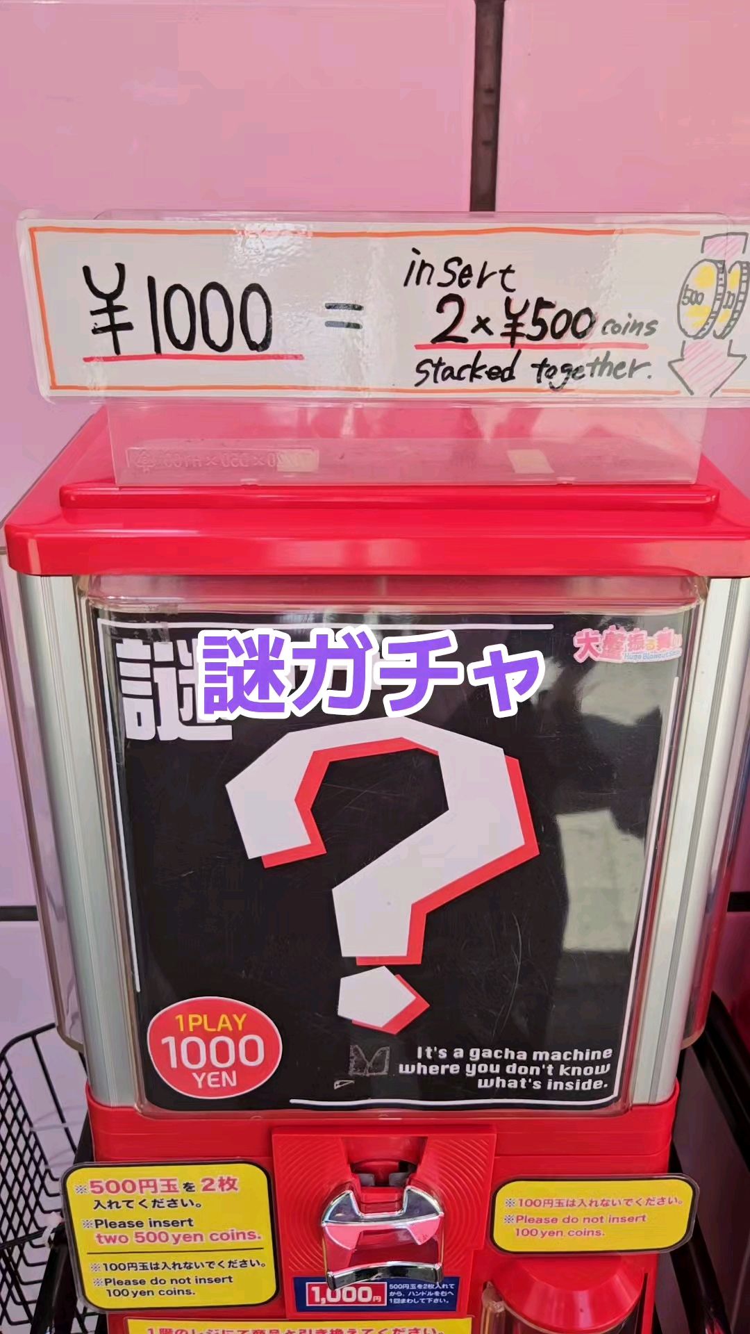 投稿動画サムネイル