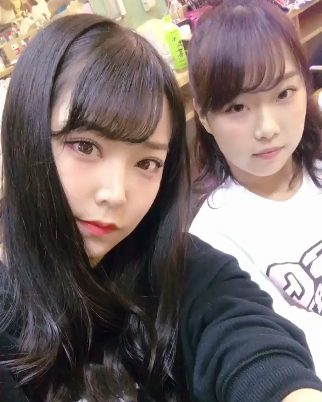 投稿動画サムネイル