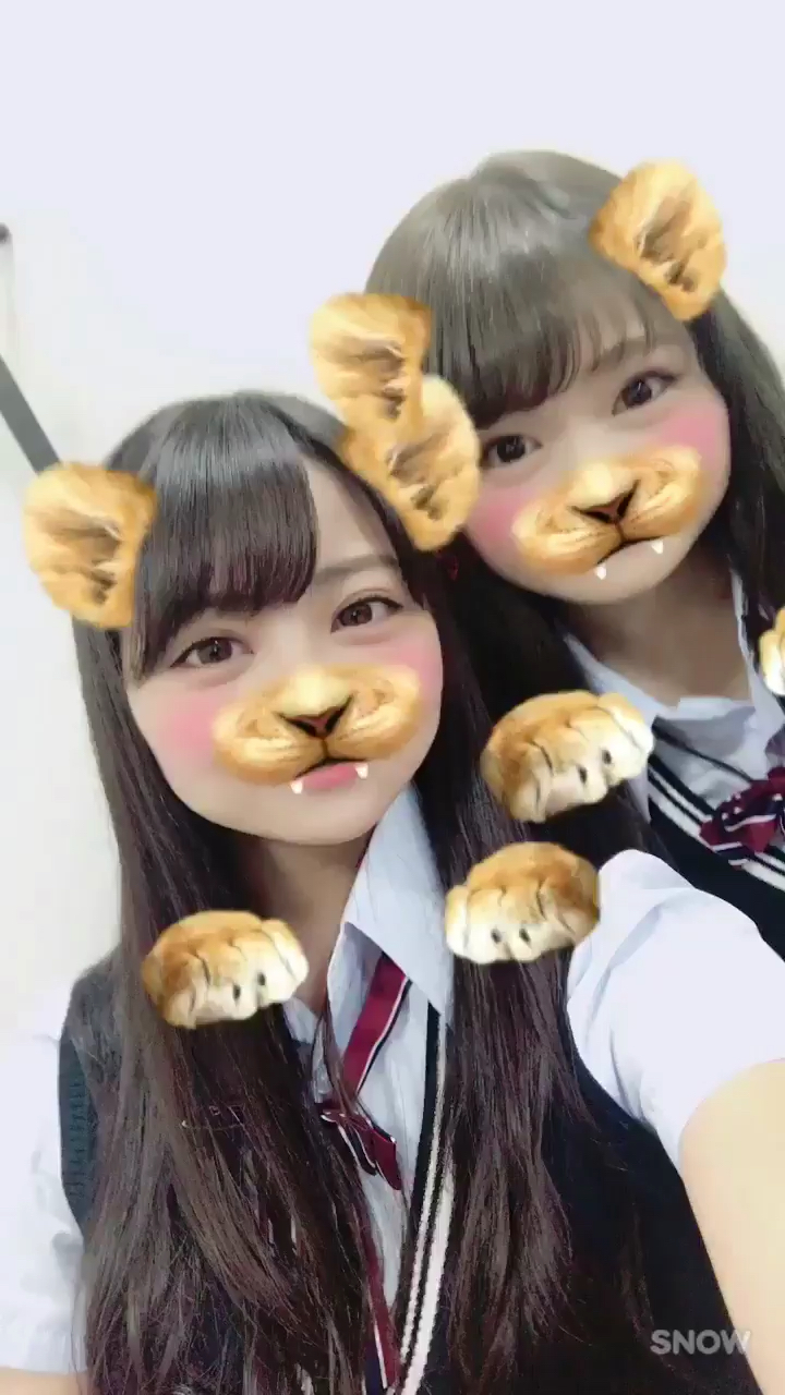 投稿動画サムネイル