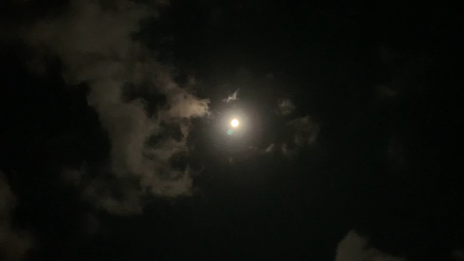 投稿動画サムネイル