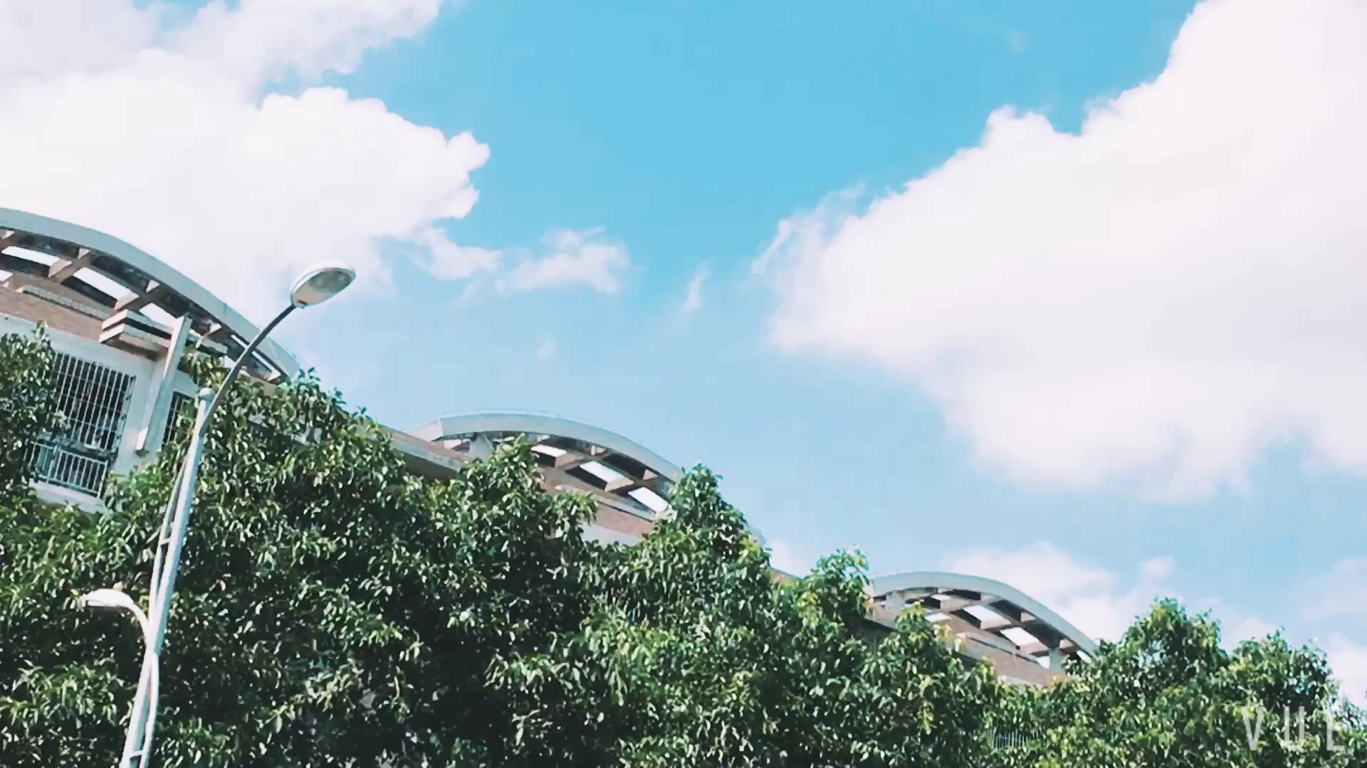 投稿動画サムネイル