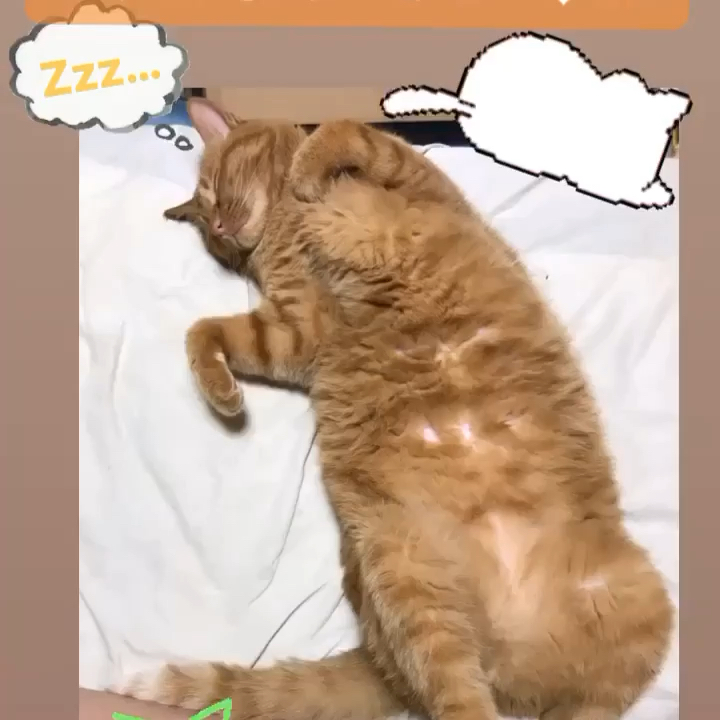 投稿動画サムネイル