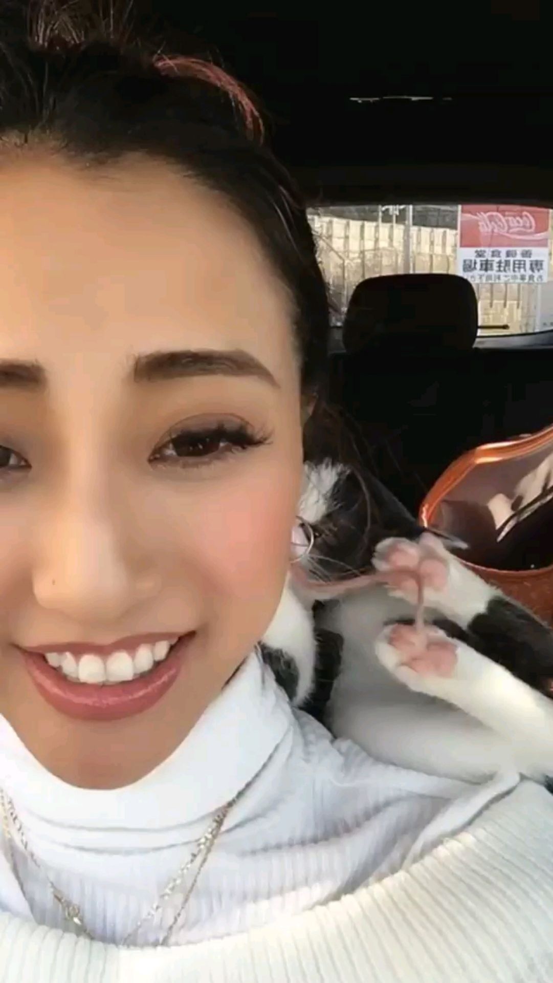 投稿動画サムネイル