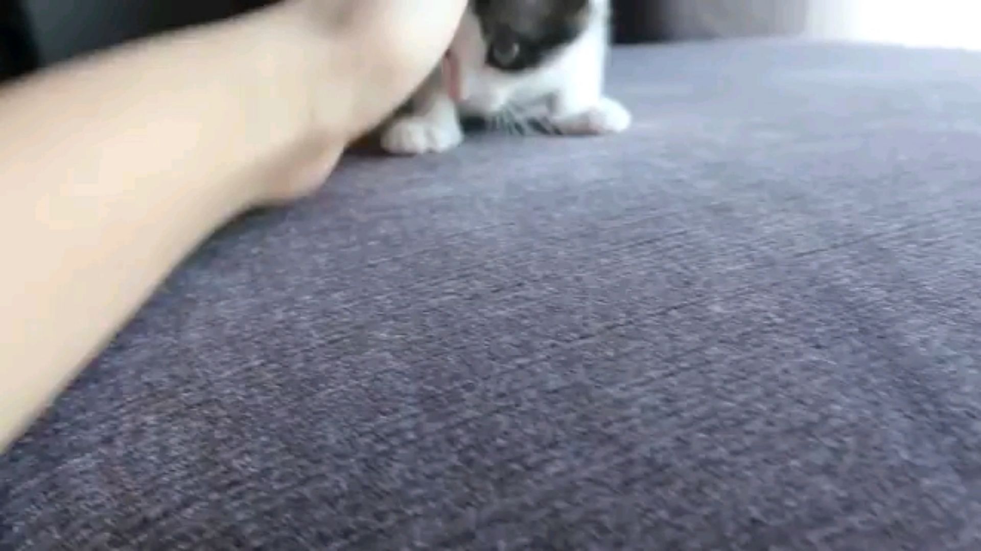 投稿動画サムネイル