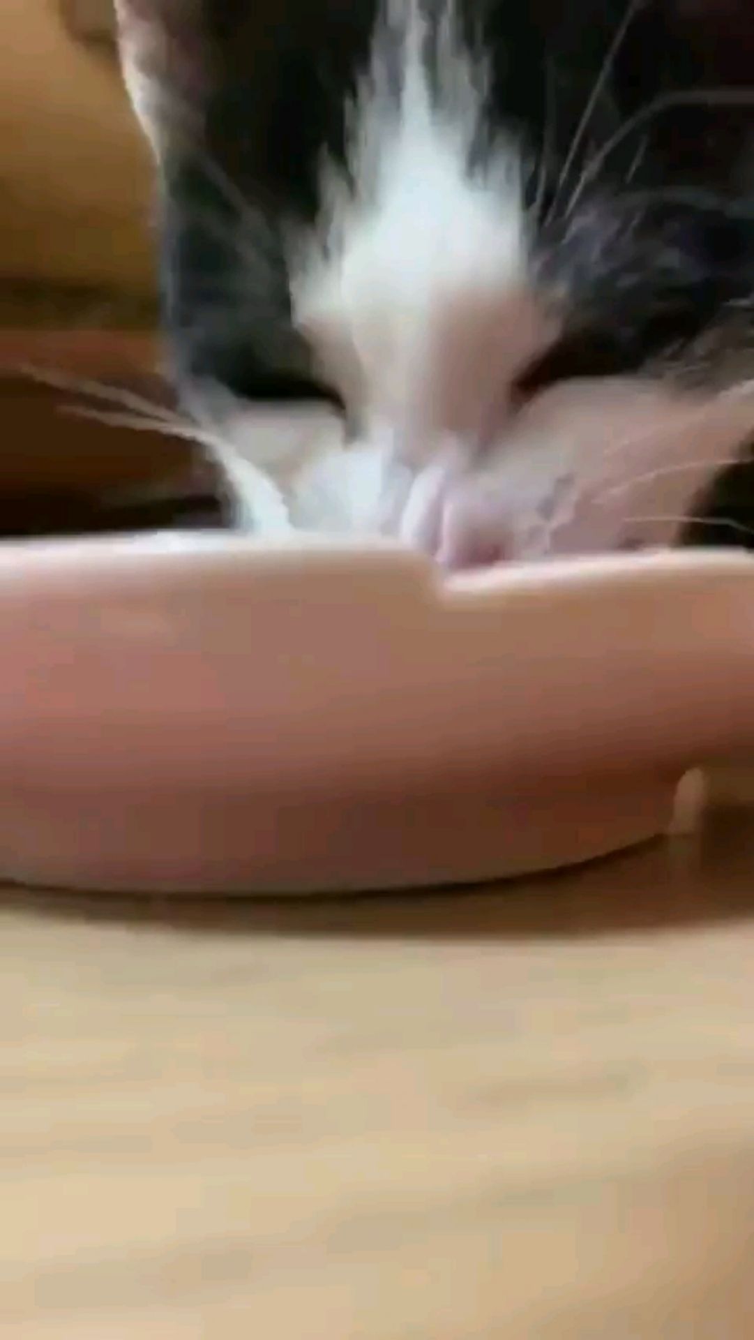 投稿動画サムネイル