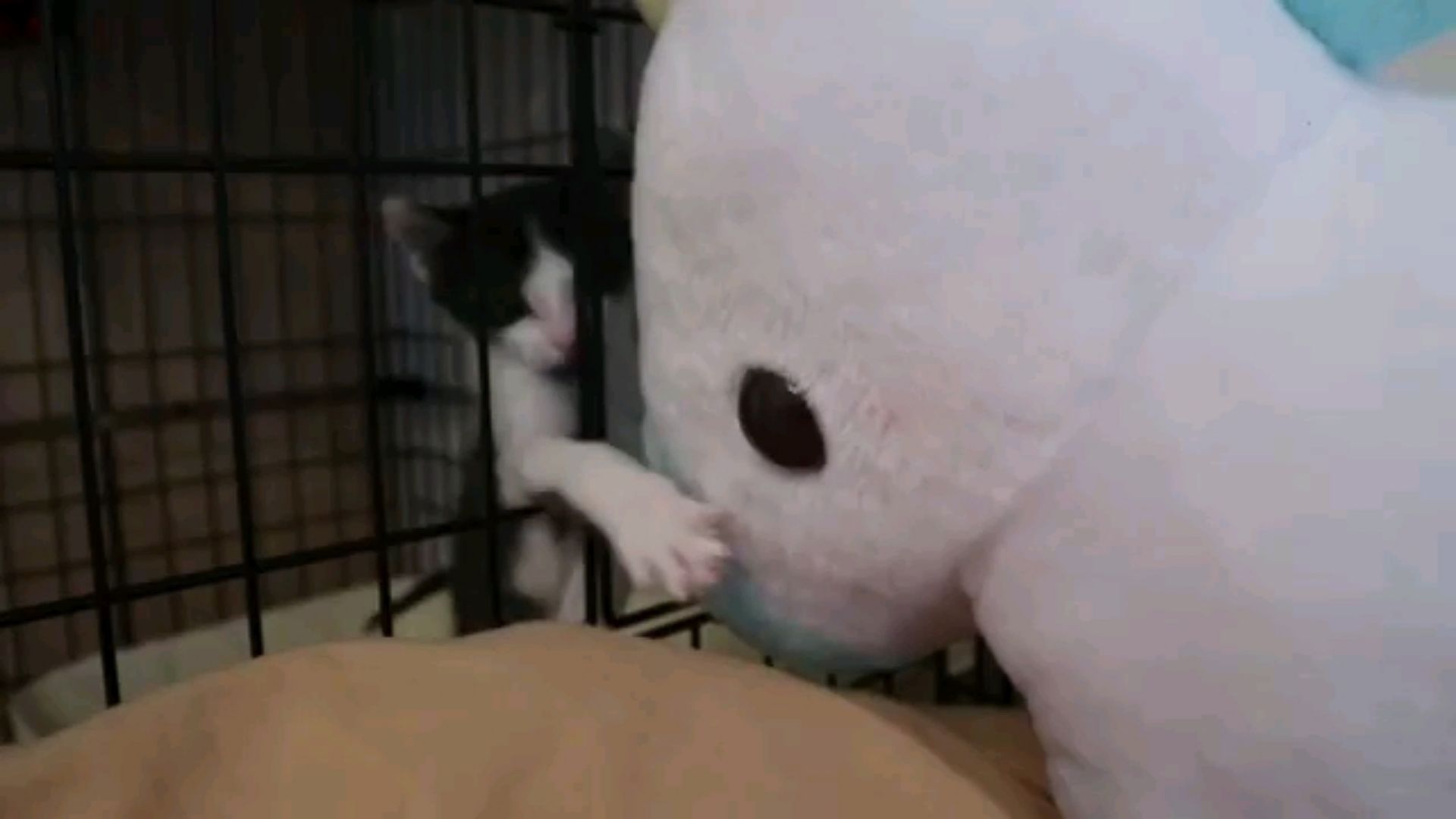 投稿動画サムネイル