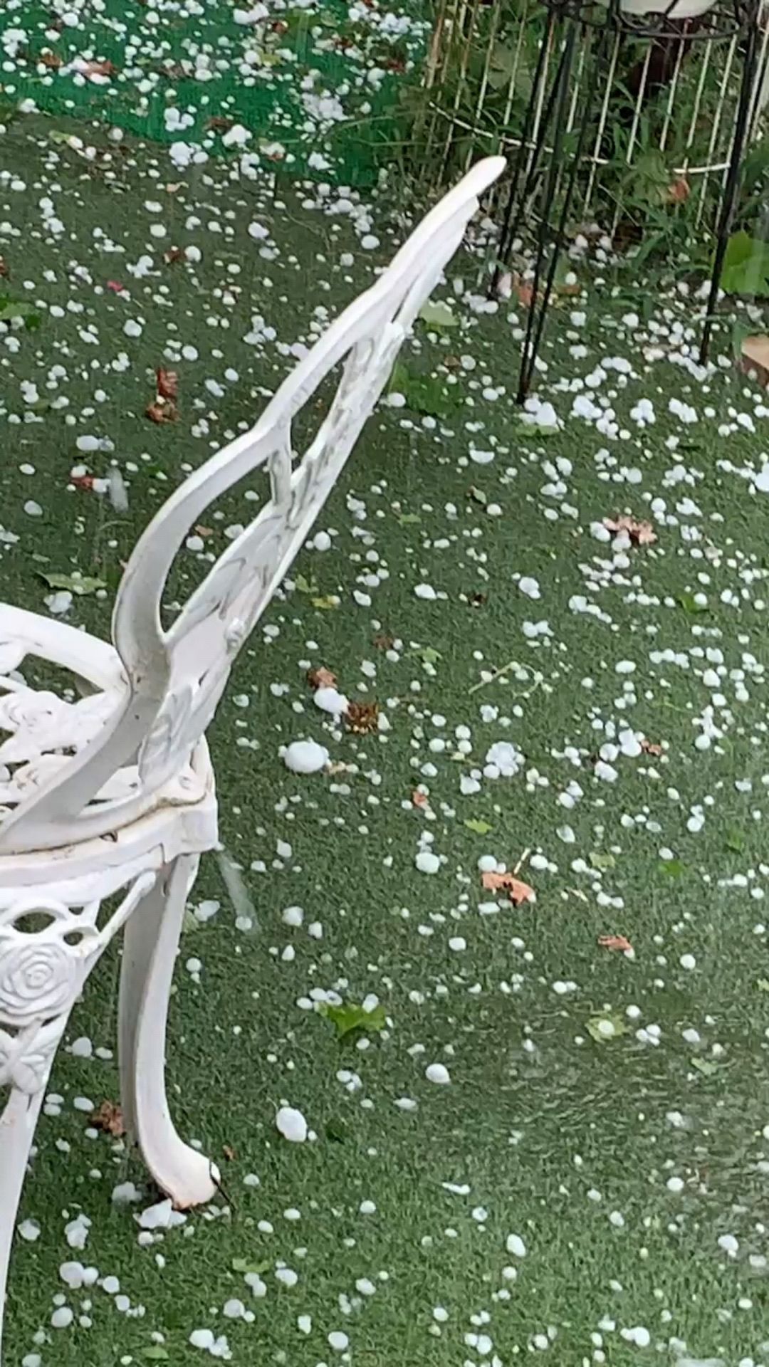 投稿動画サムネイル