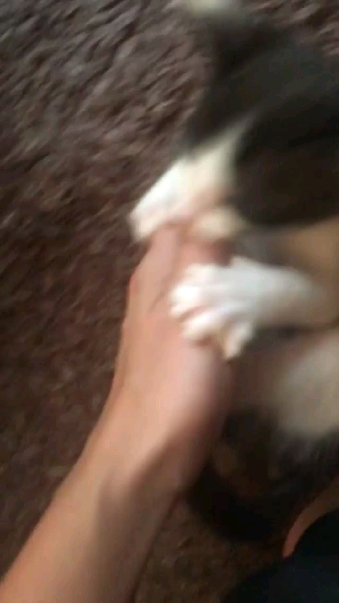 投稿動画サムネイル