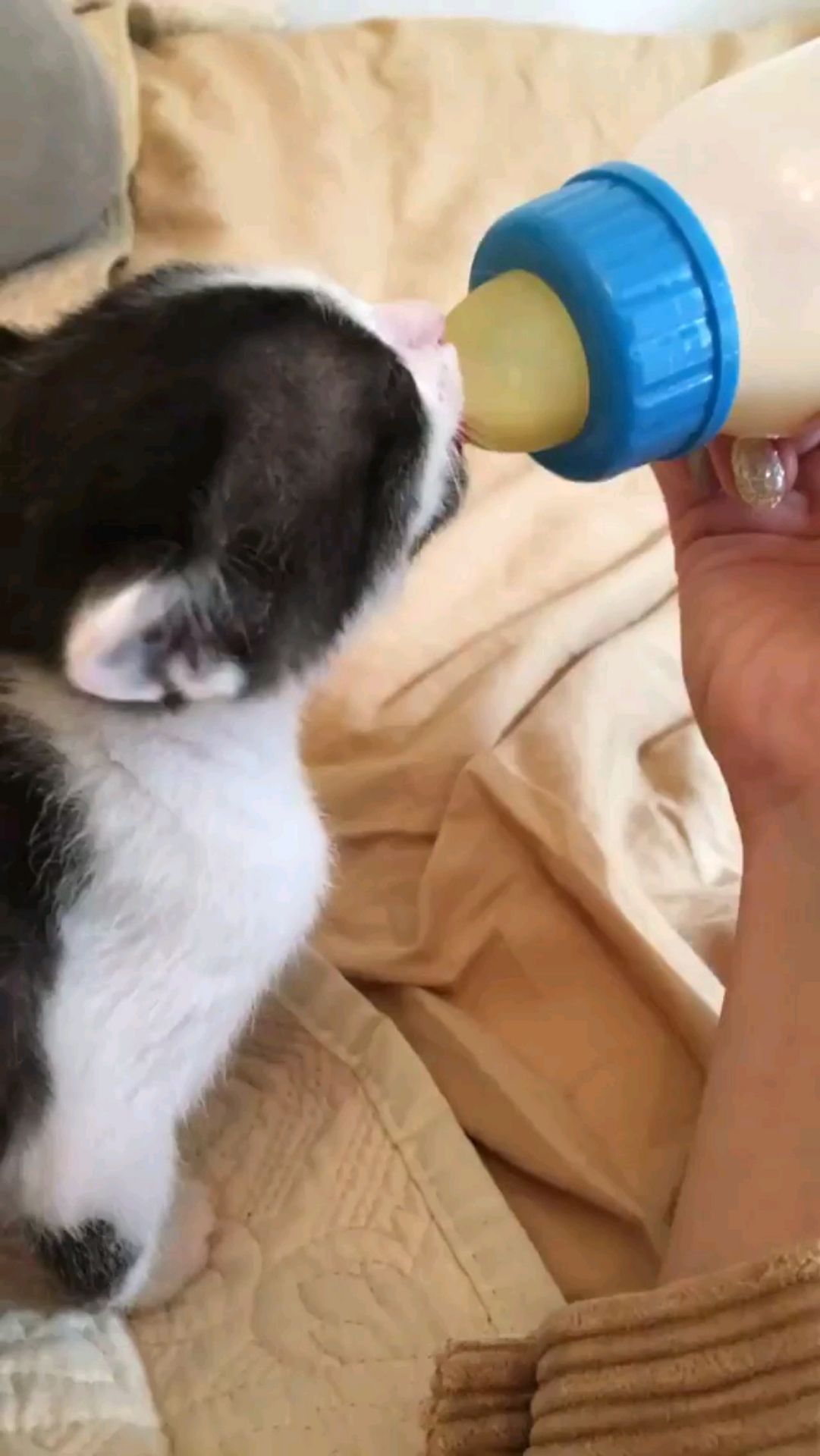 投稿動画サムネイル