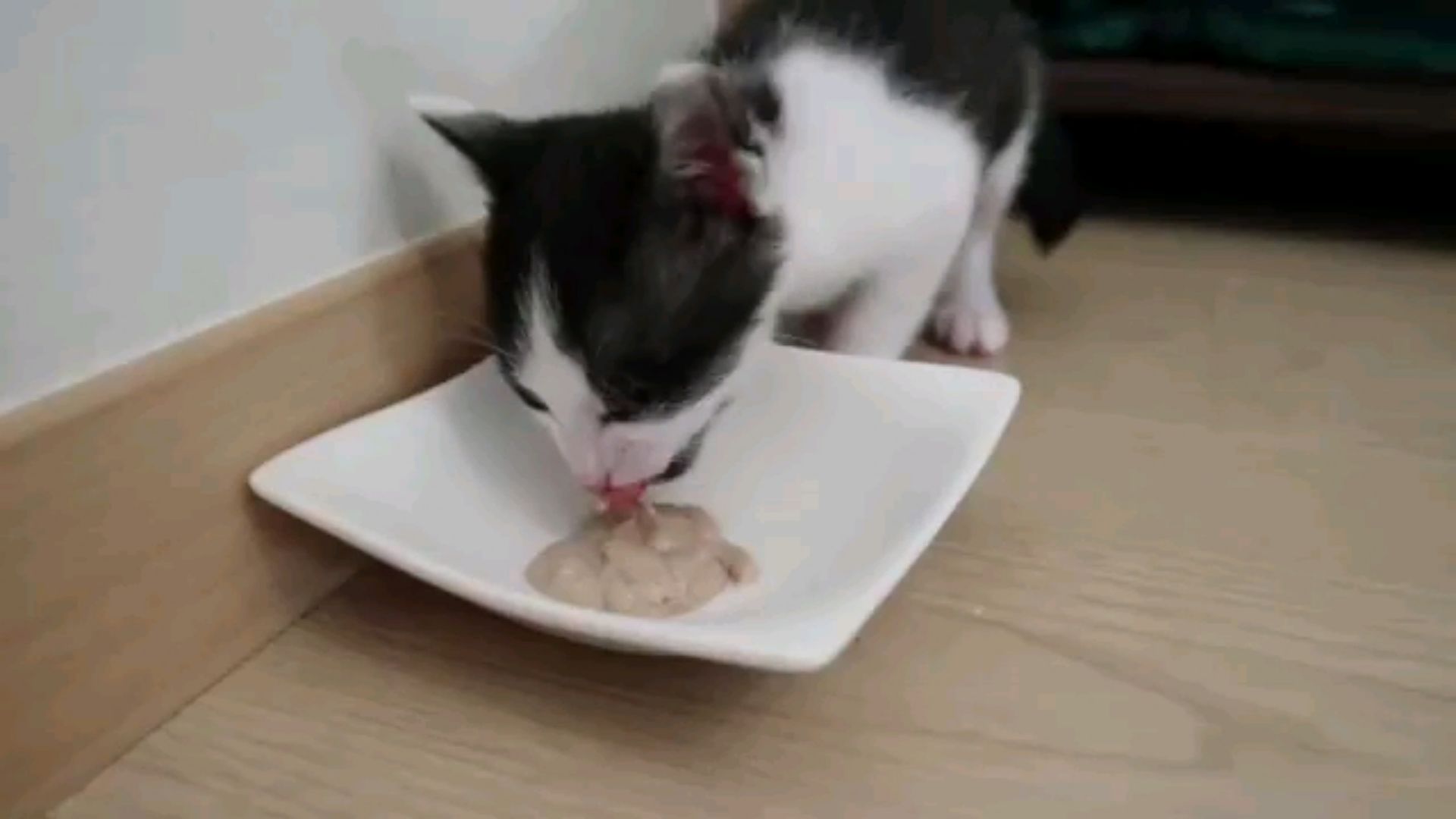 投稿動画サムネイル
