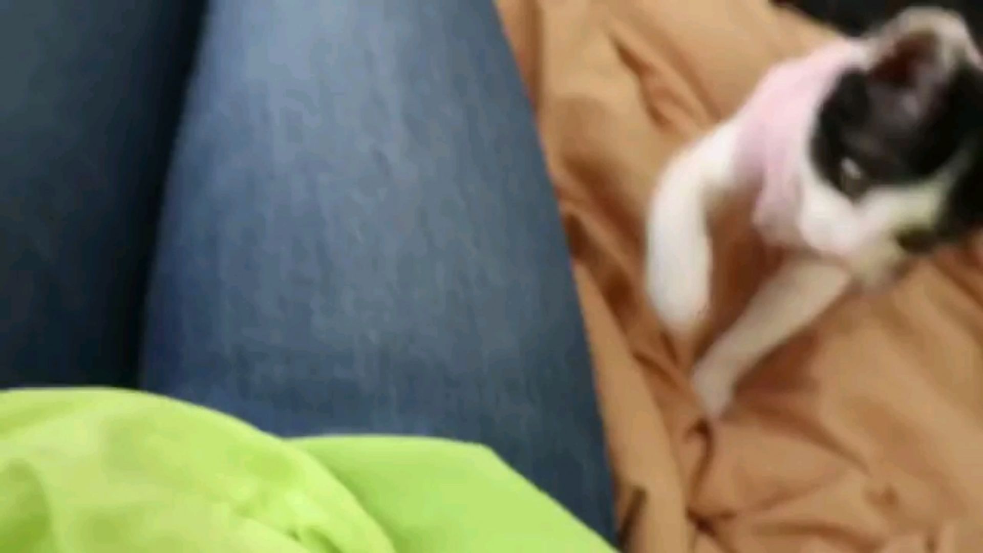 投稿動画サムネイル