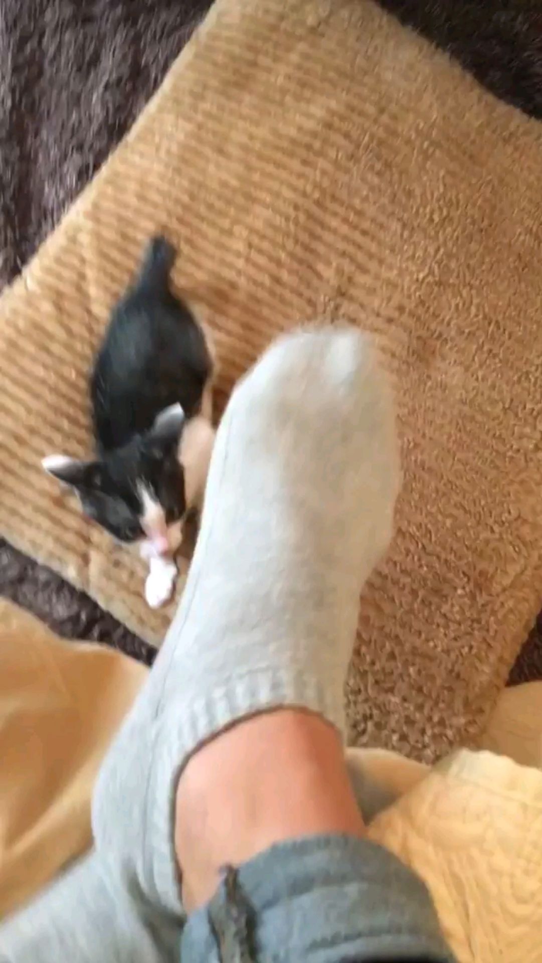 投稿動画サムネイル