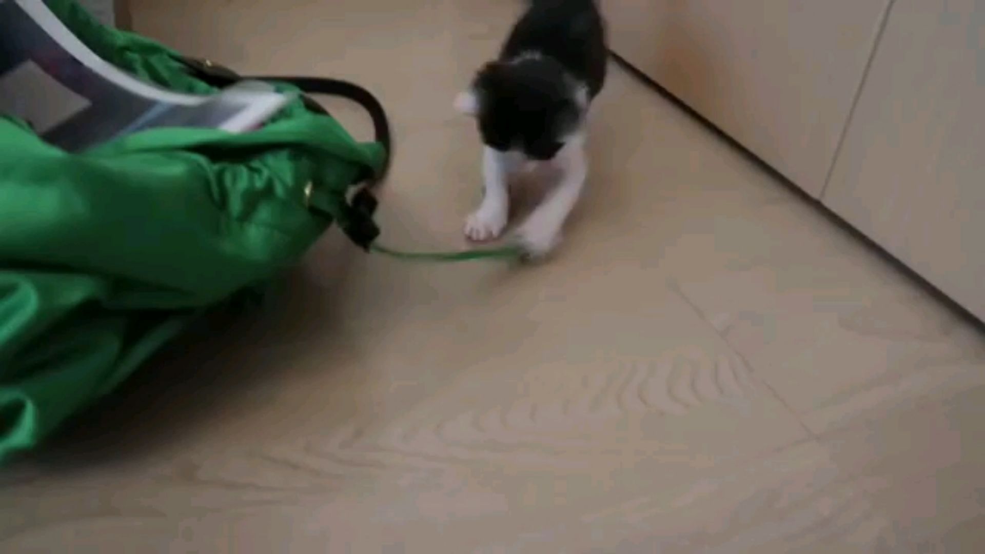 投稿動画サムネイル