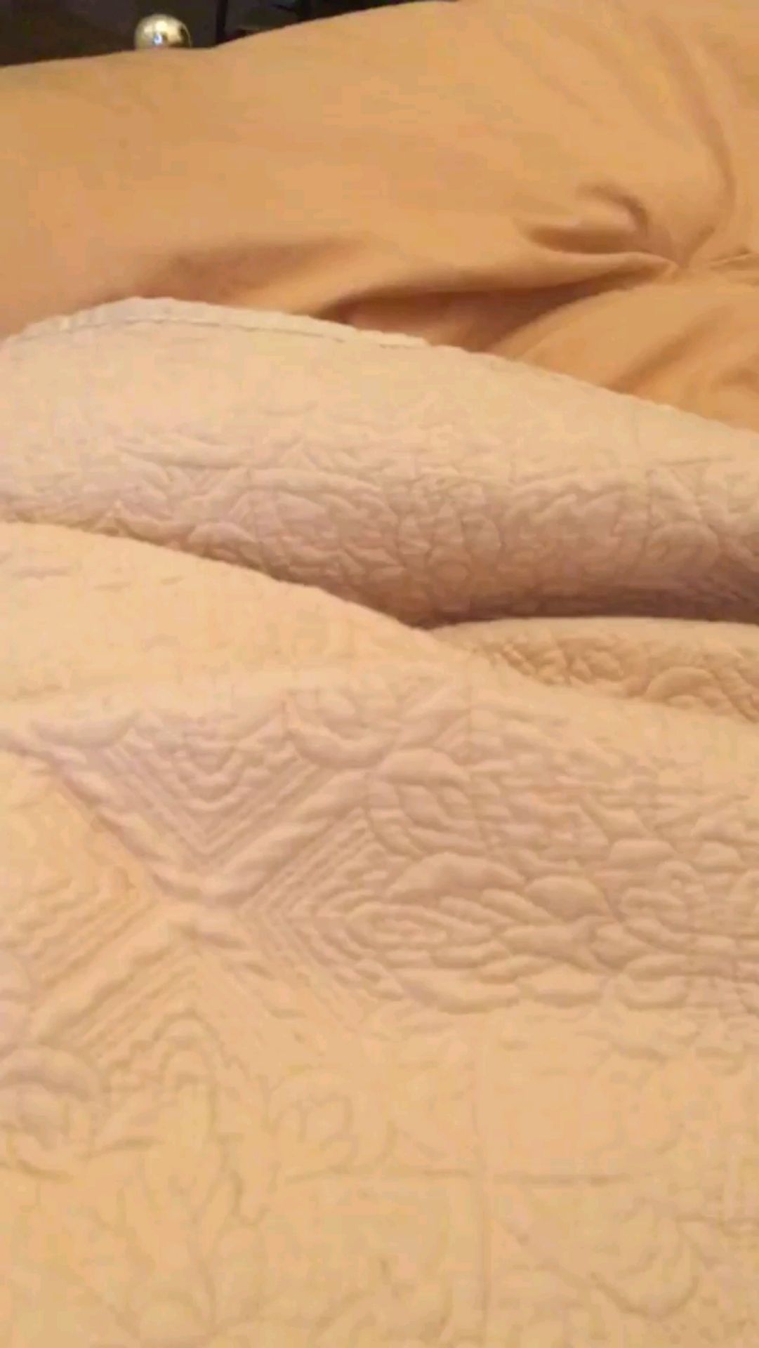 投稿動画サムネイル