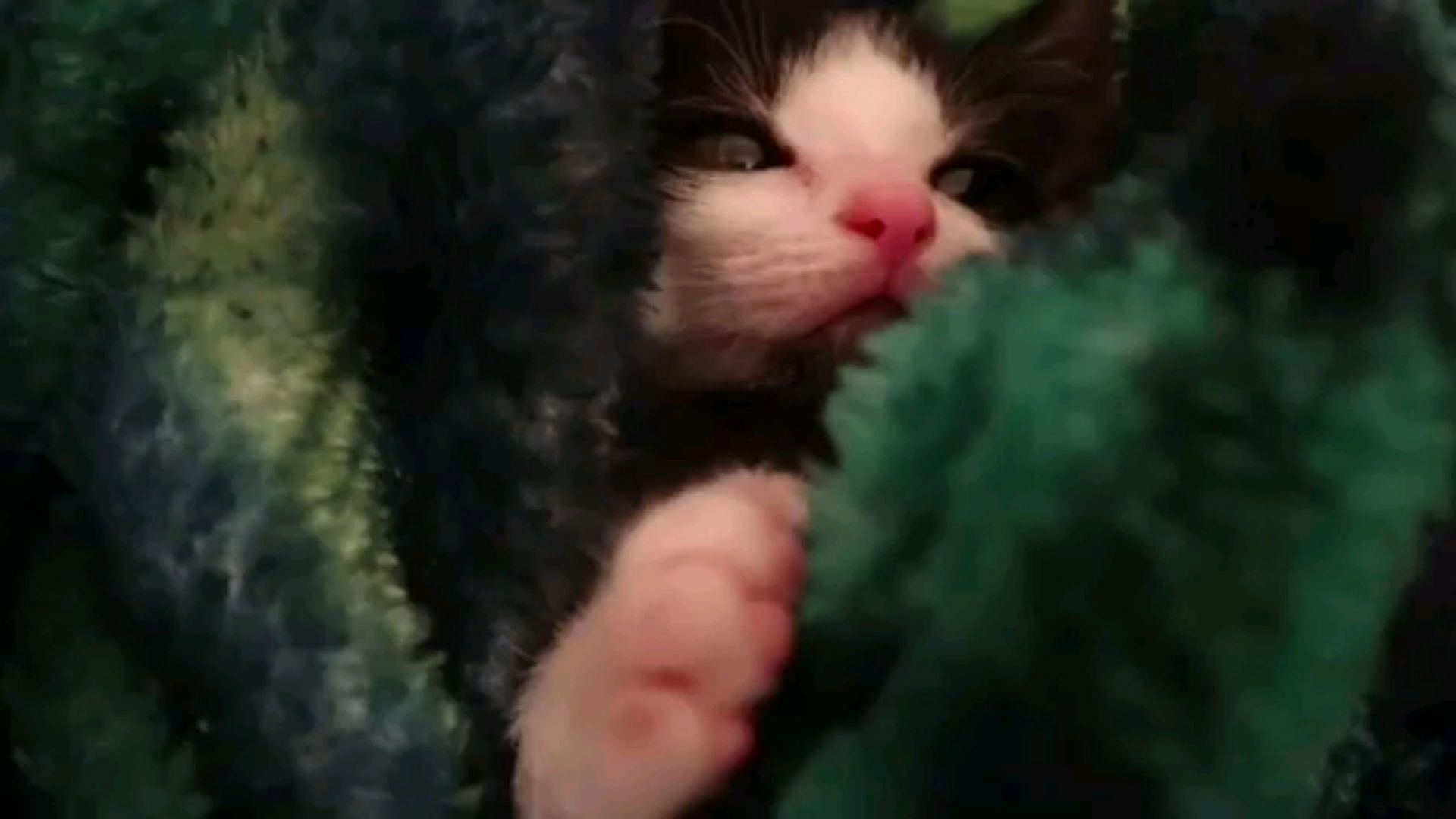 投稿動画サムネイル