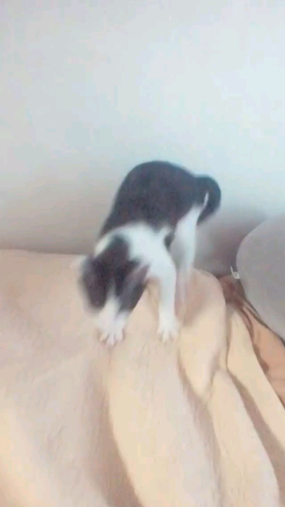 投稿動画サムネイル