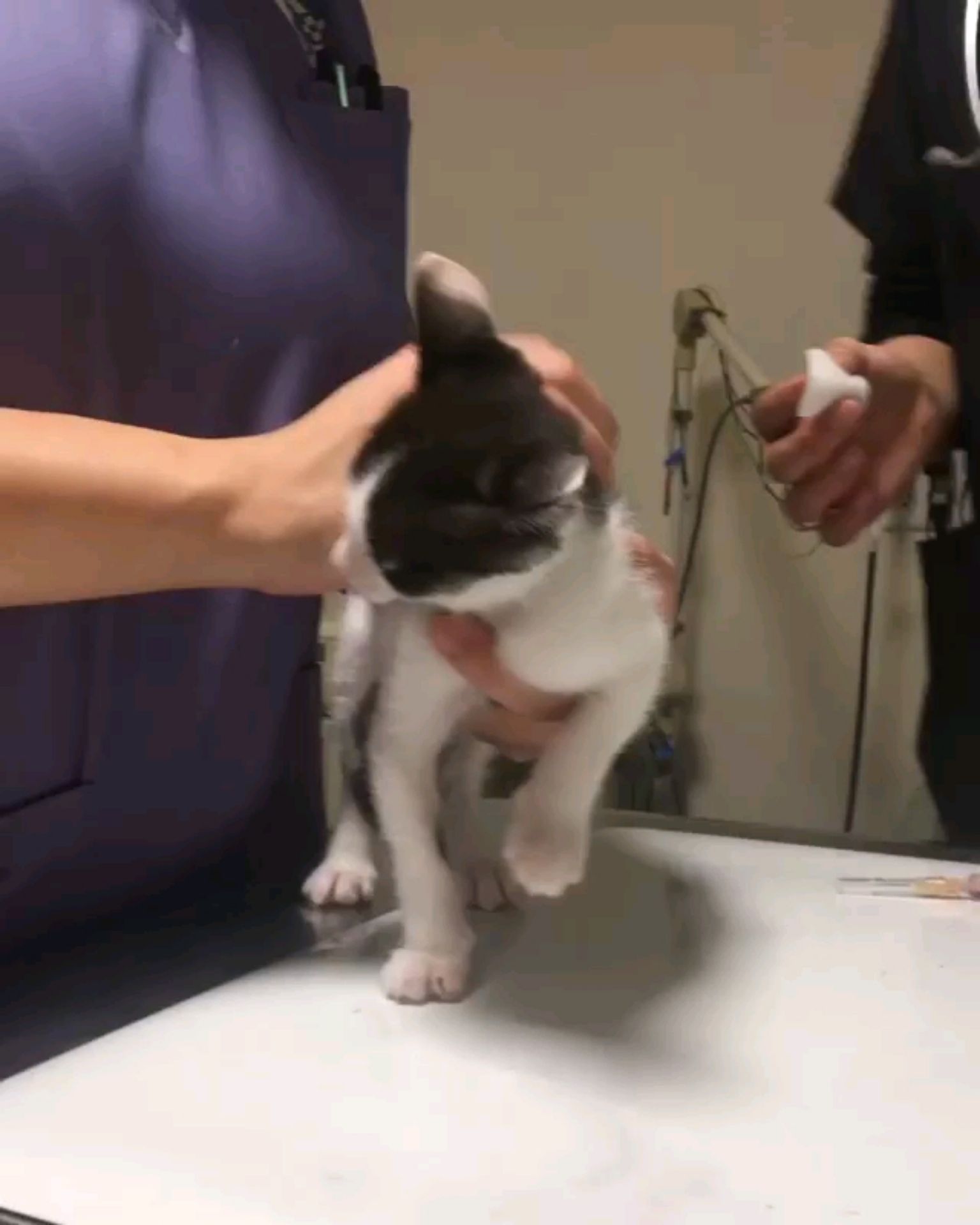 投稿動画サムネイル